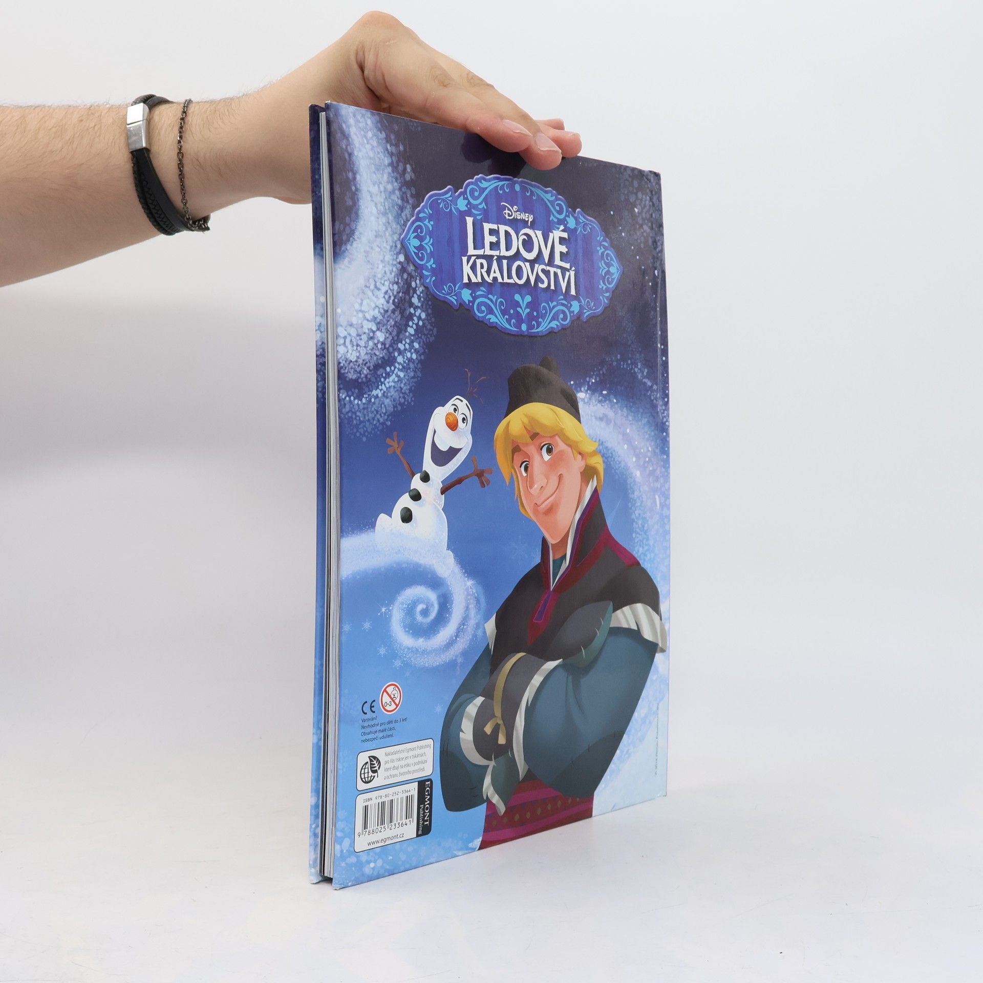 Walt Disney Ledové království - Knížka na celý rok