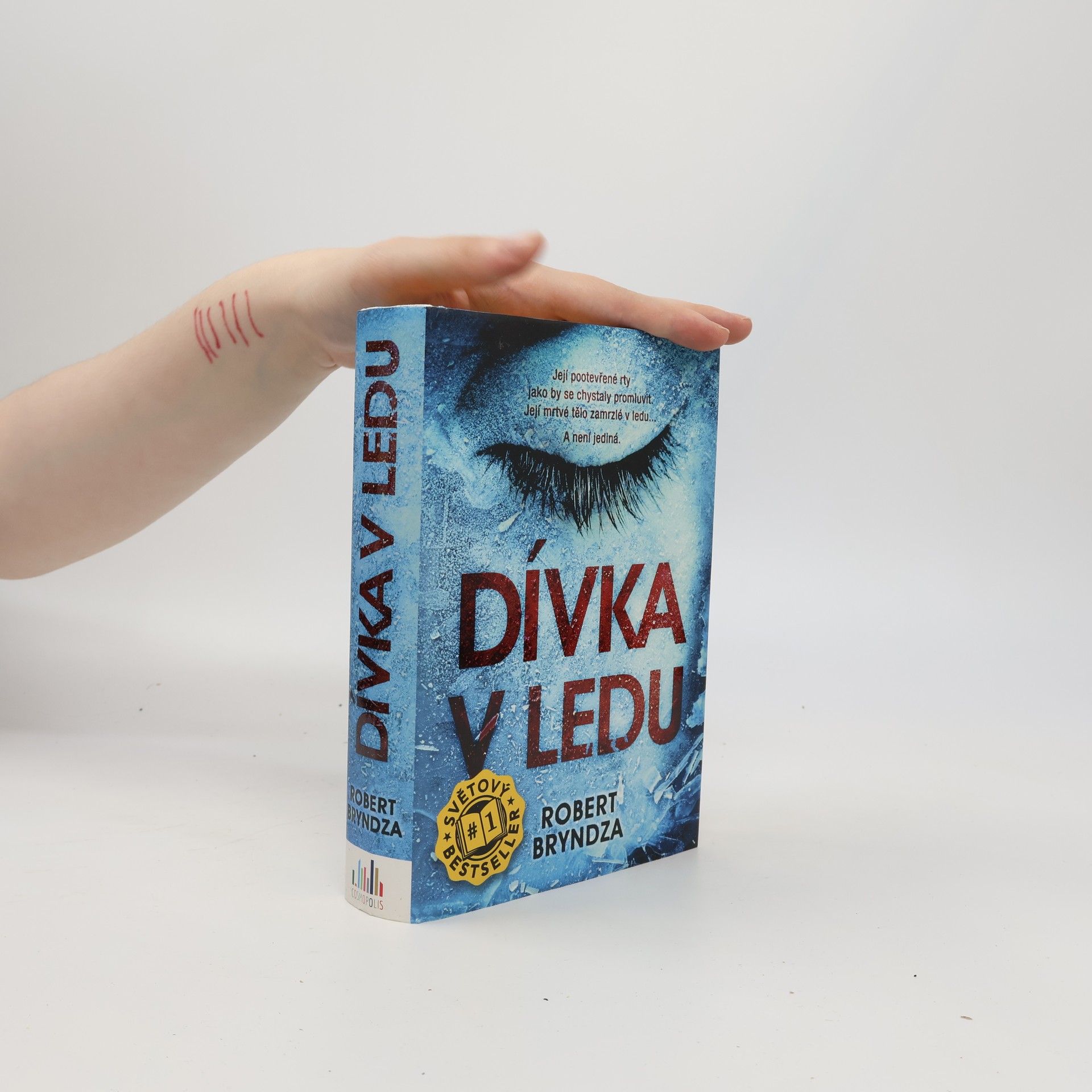 Robert Bryndza Dívka v ledu