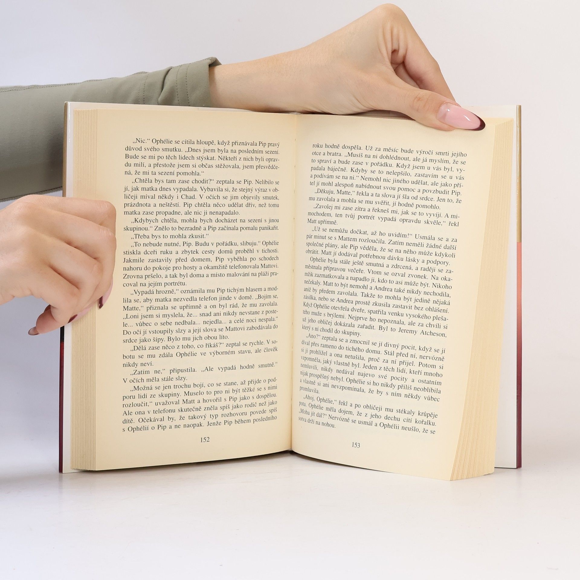 Danielle Steel Přístav bezpečí