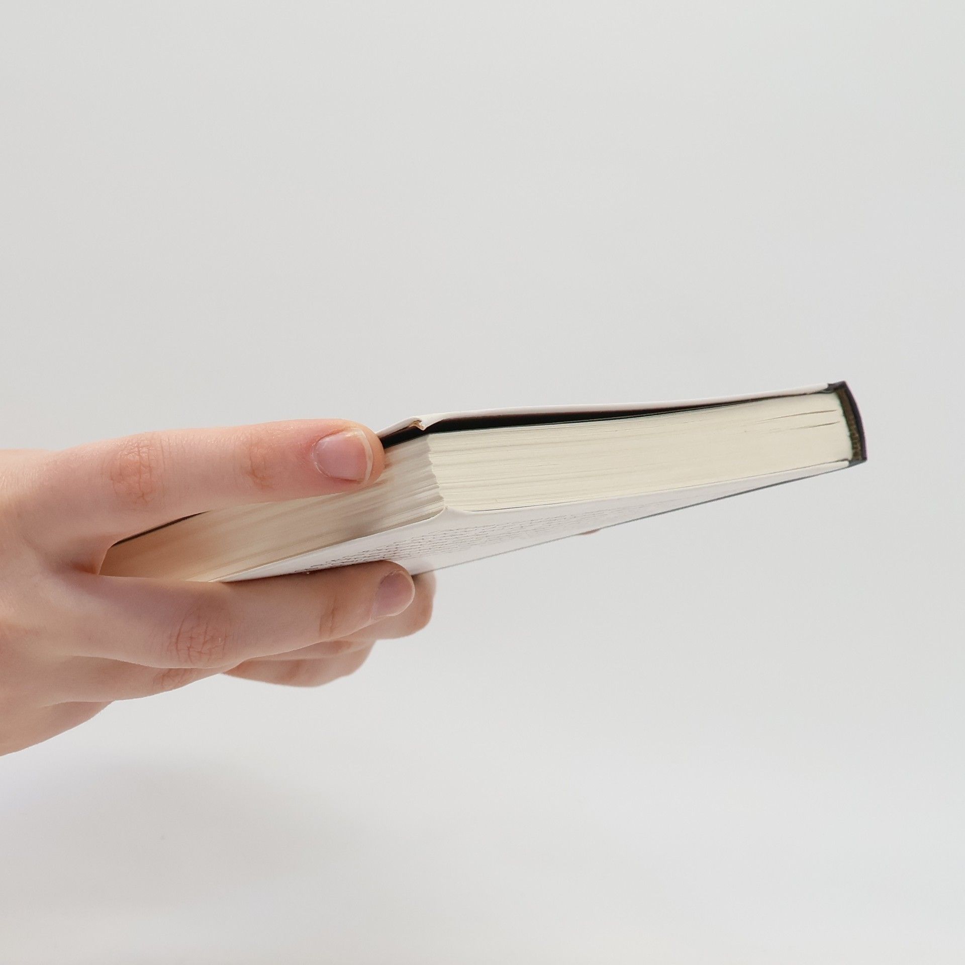 Joseph Laurent Fénix Les Carnets d'un ramoneur