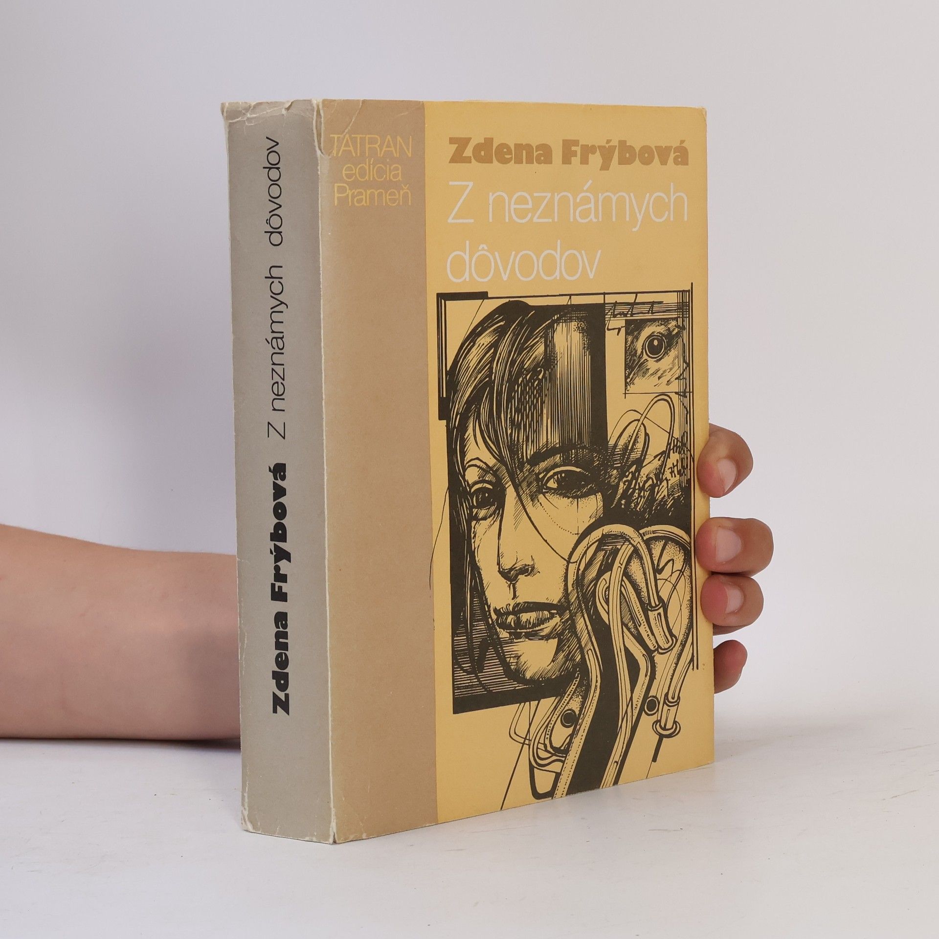 Zdena Frýbová Z neznámych dôvodov