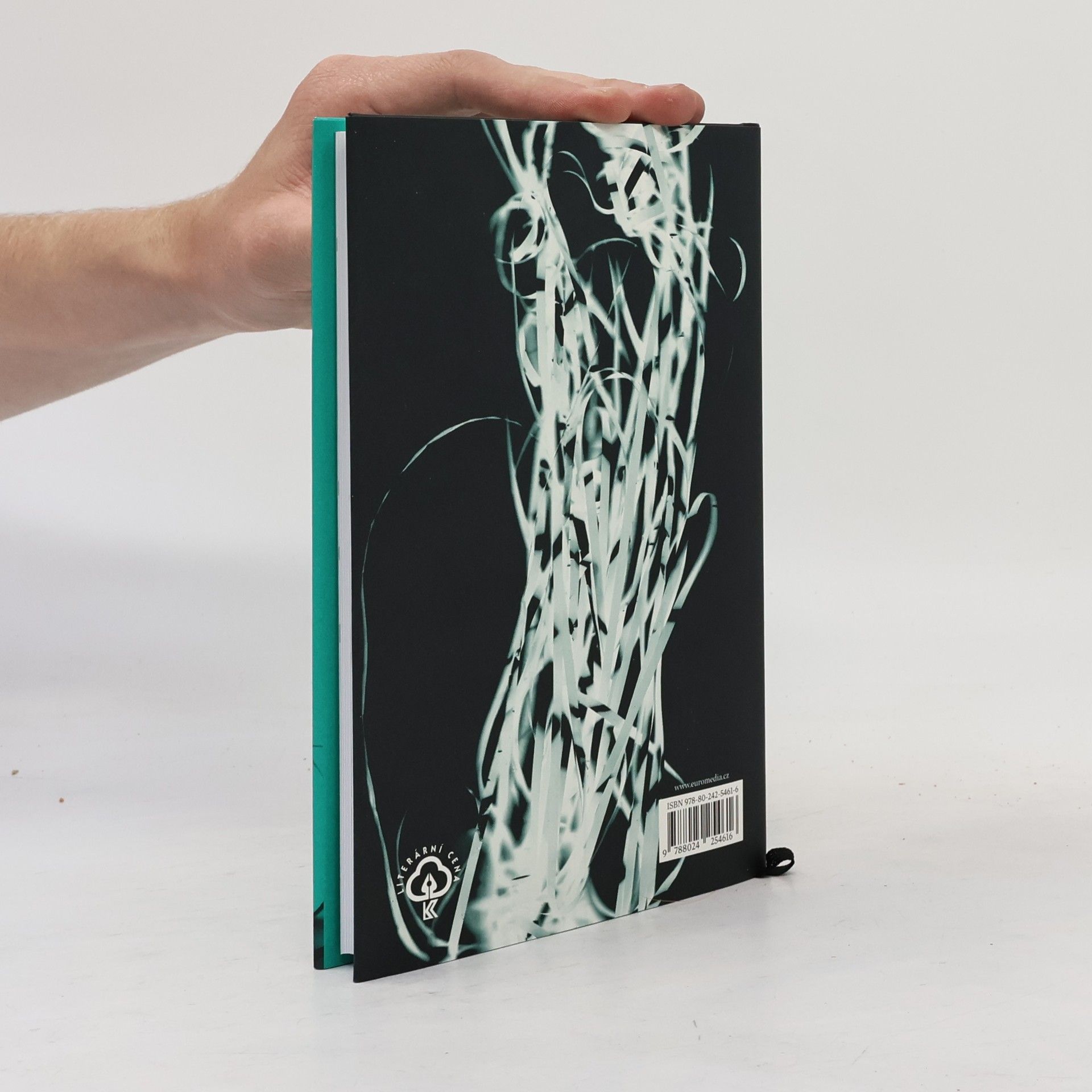Patrik Girgle Vertigo