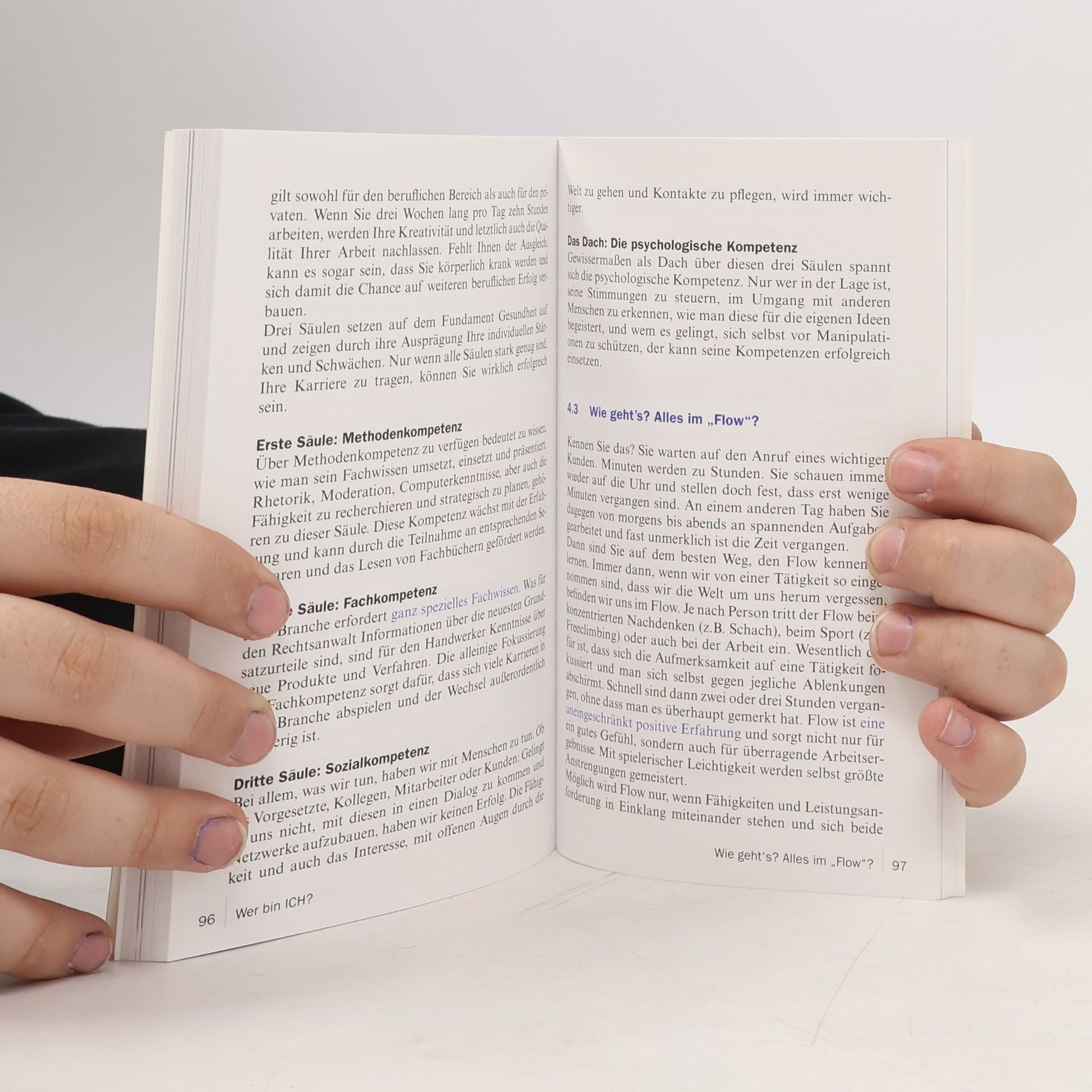 Hans-Michael Klein Pocket Business: Mit Psychologie erfolgreich führen