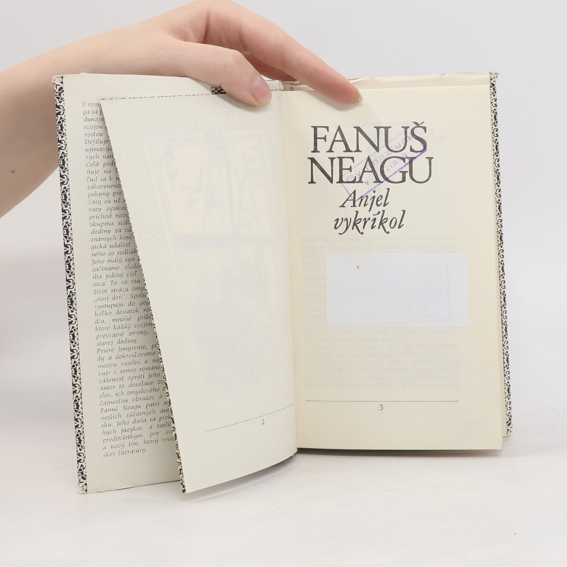 Fănuş Neagu Anjel výkríkol