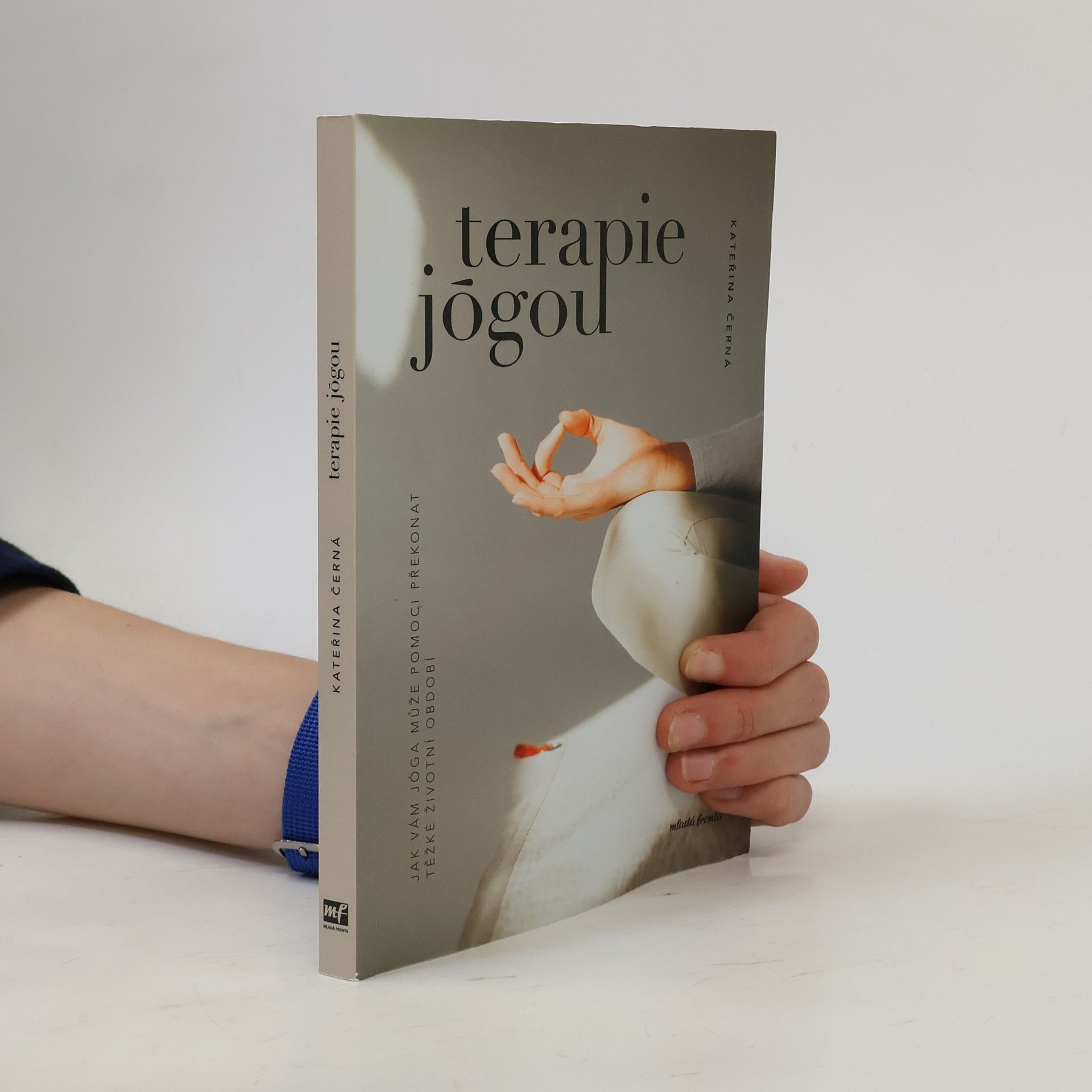 Kateřina Černá Terapie jógou : Jak vám jóga může pomoci překonat těžké životní období