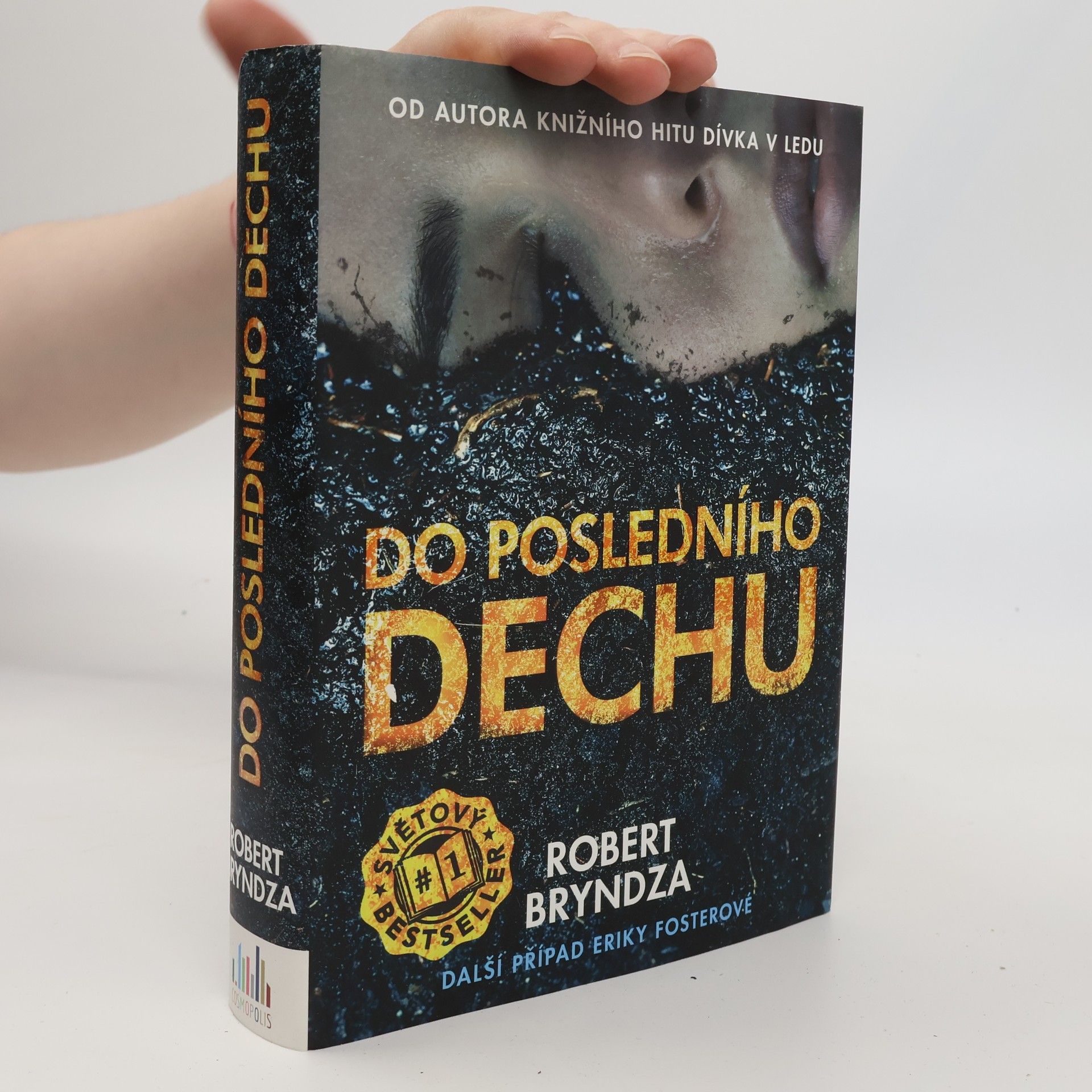 Robert Bryndza Do posledního dechu