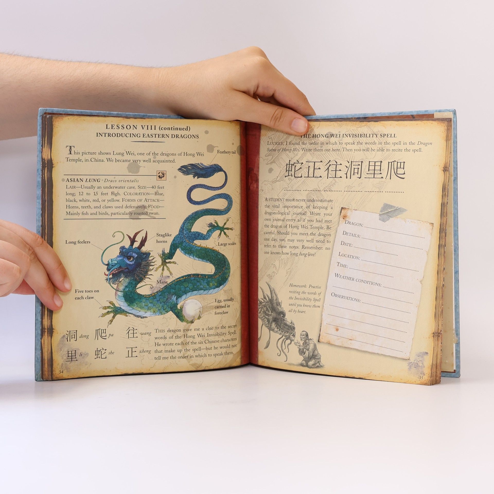 Ernest Drake The Dragonology Handbook