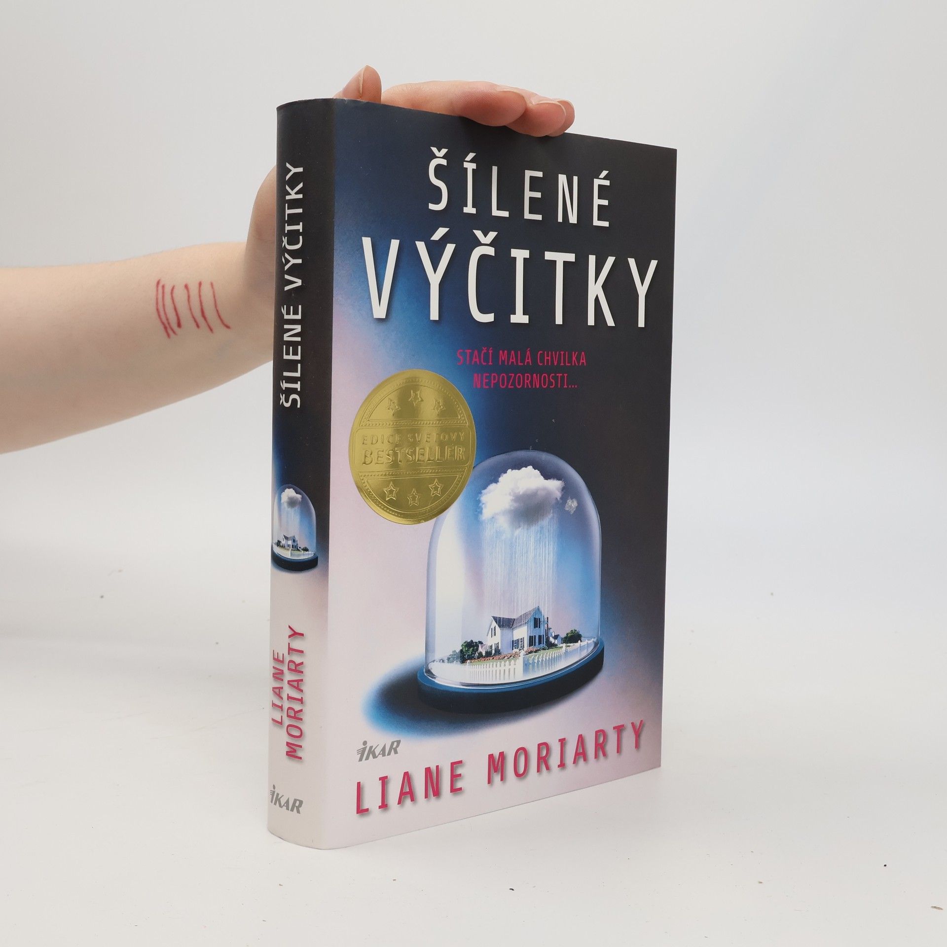 Liane Moriarty Šílené výčitky