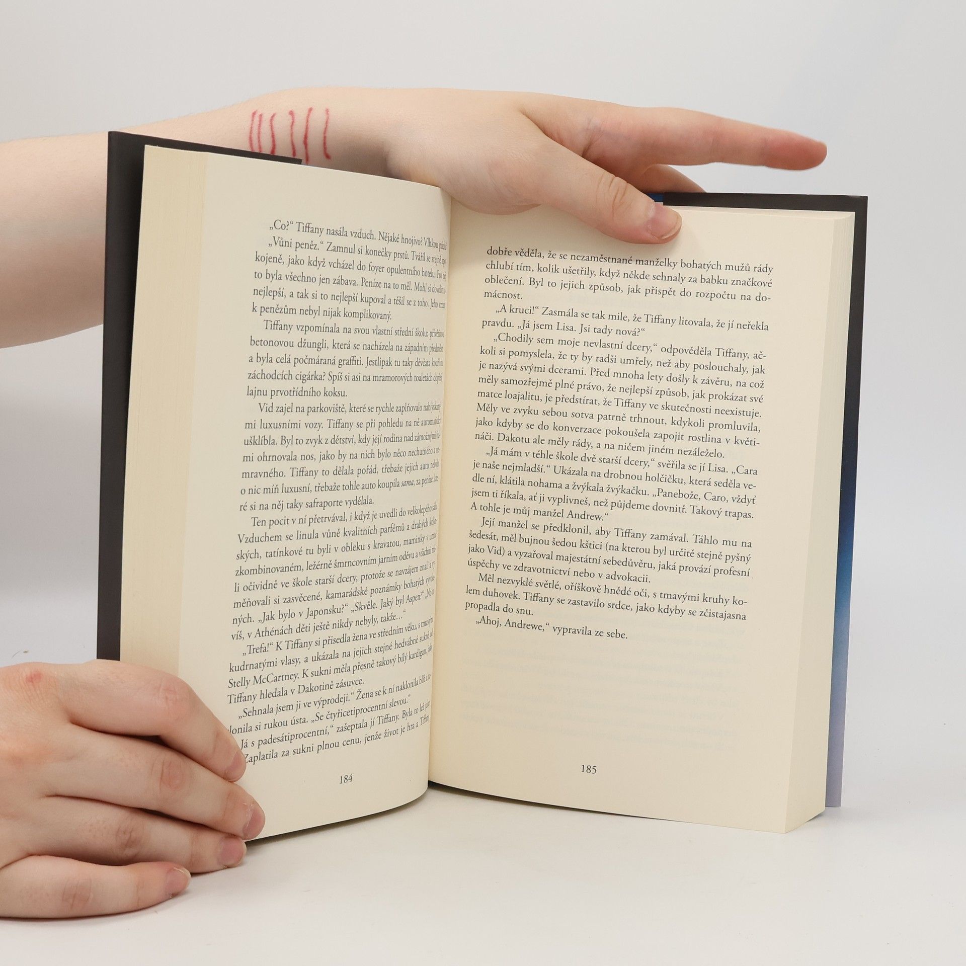 Liane Moriarty Šílené výčitky