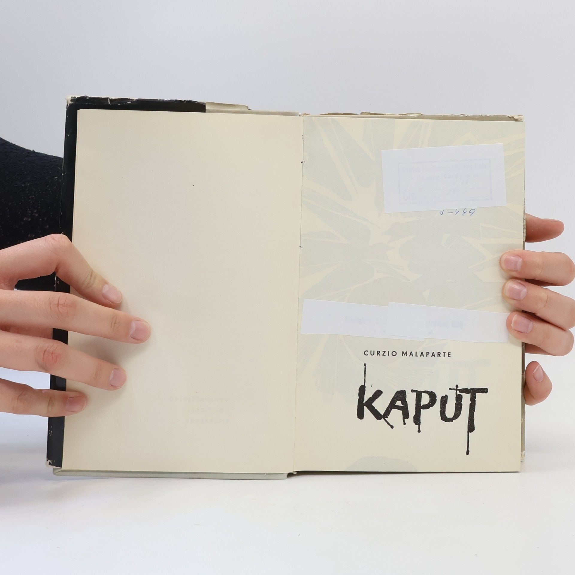 Curzio Malaparte Kaput