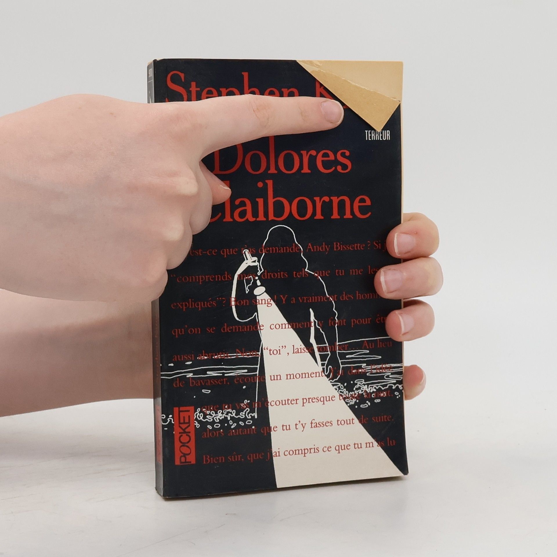 Stephen King Dolores Claiborne