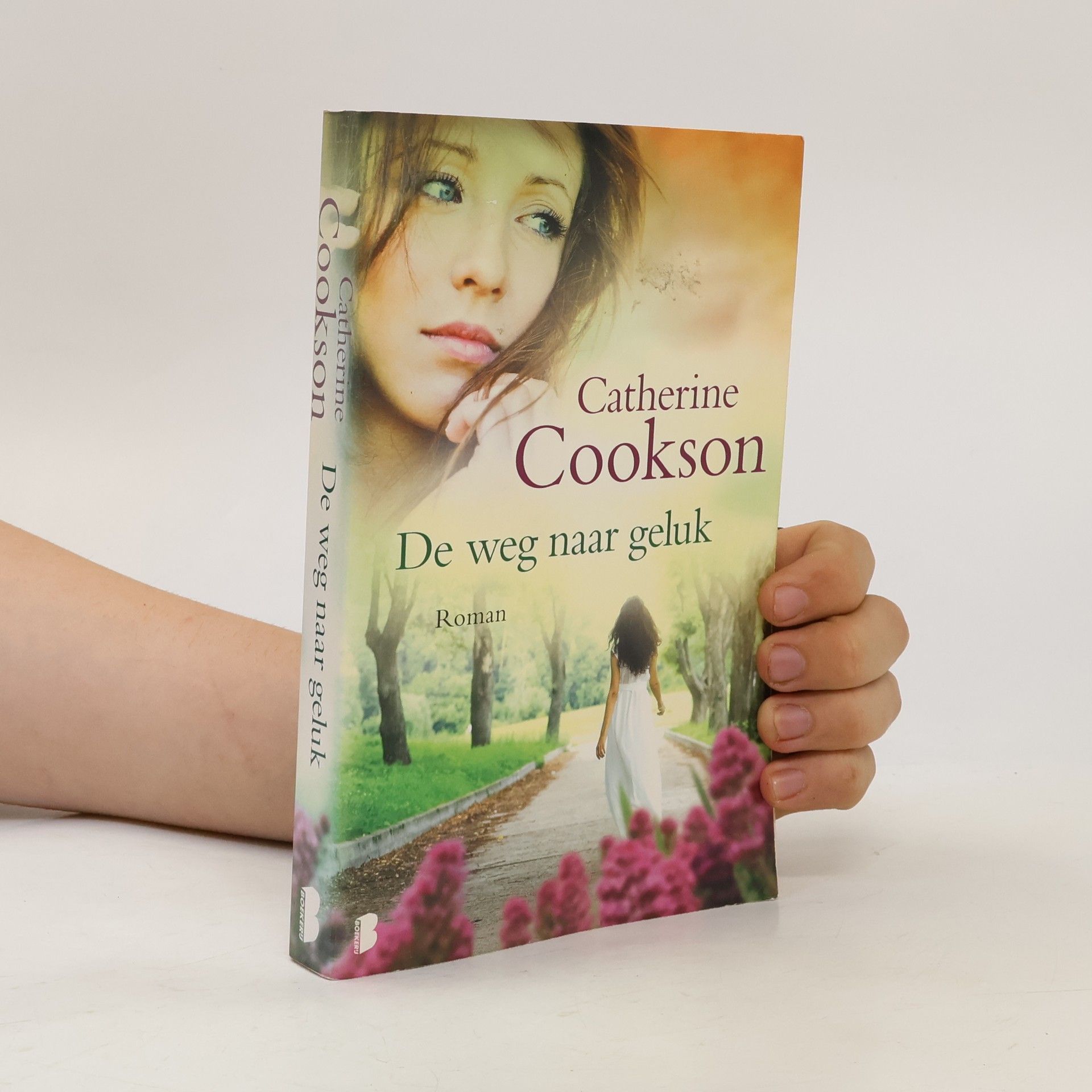 Catherine Cookson De weg naar geluk