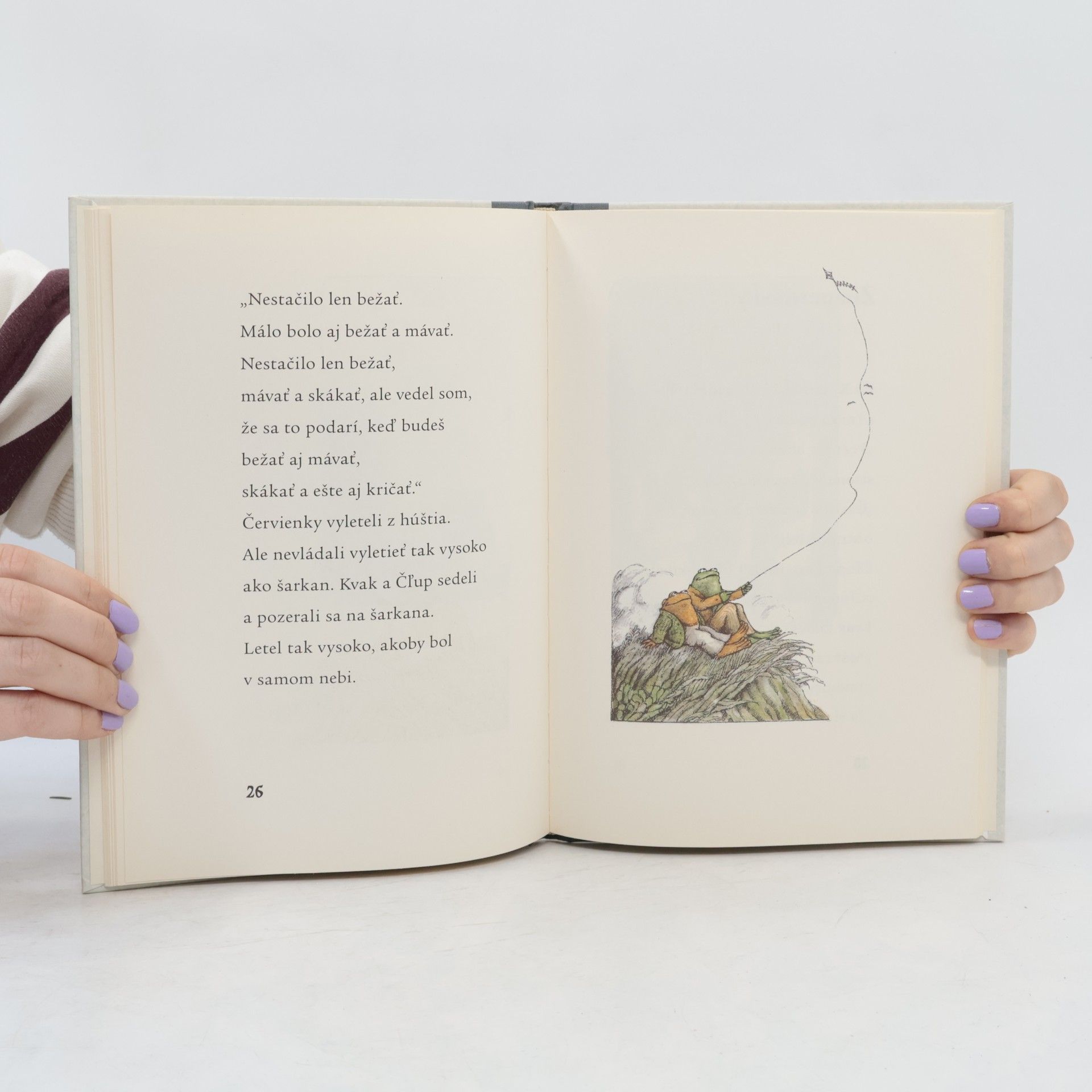 Arnold Lobel Kvak a Čľup nepoznajú nudu
