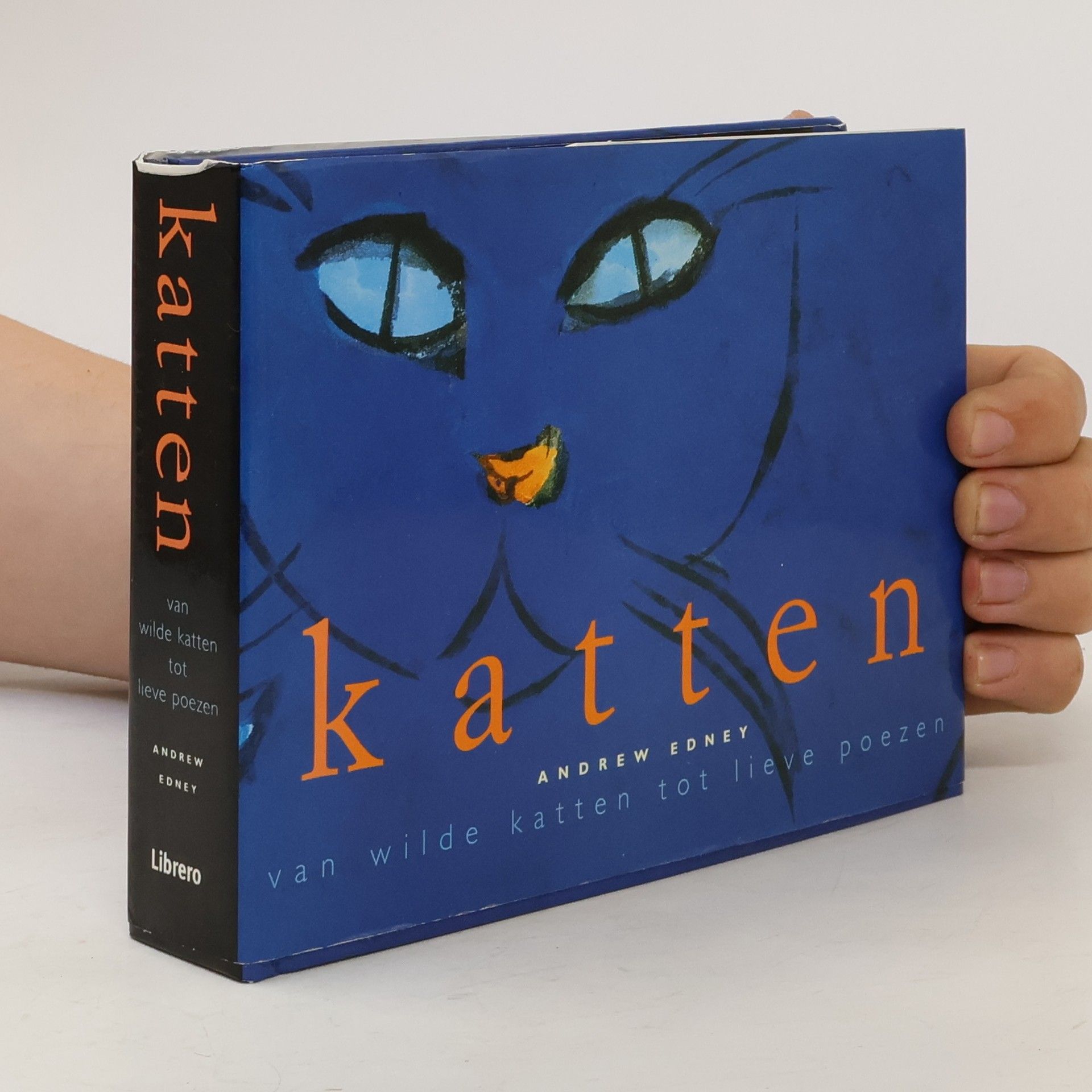 Katten