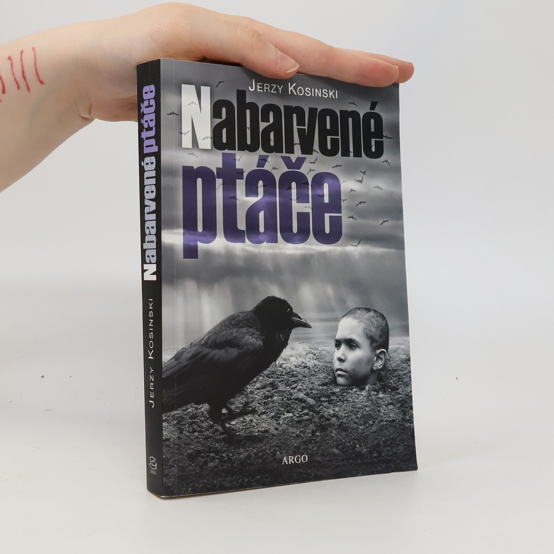 Jerzy Kosiński Nabarvené ptáče