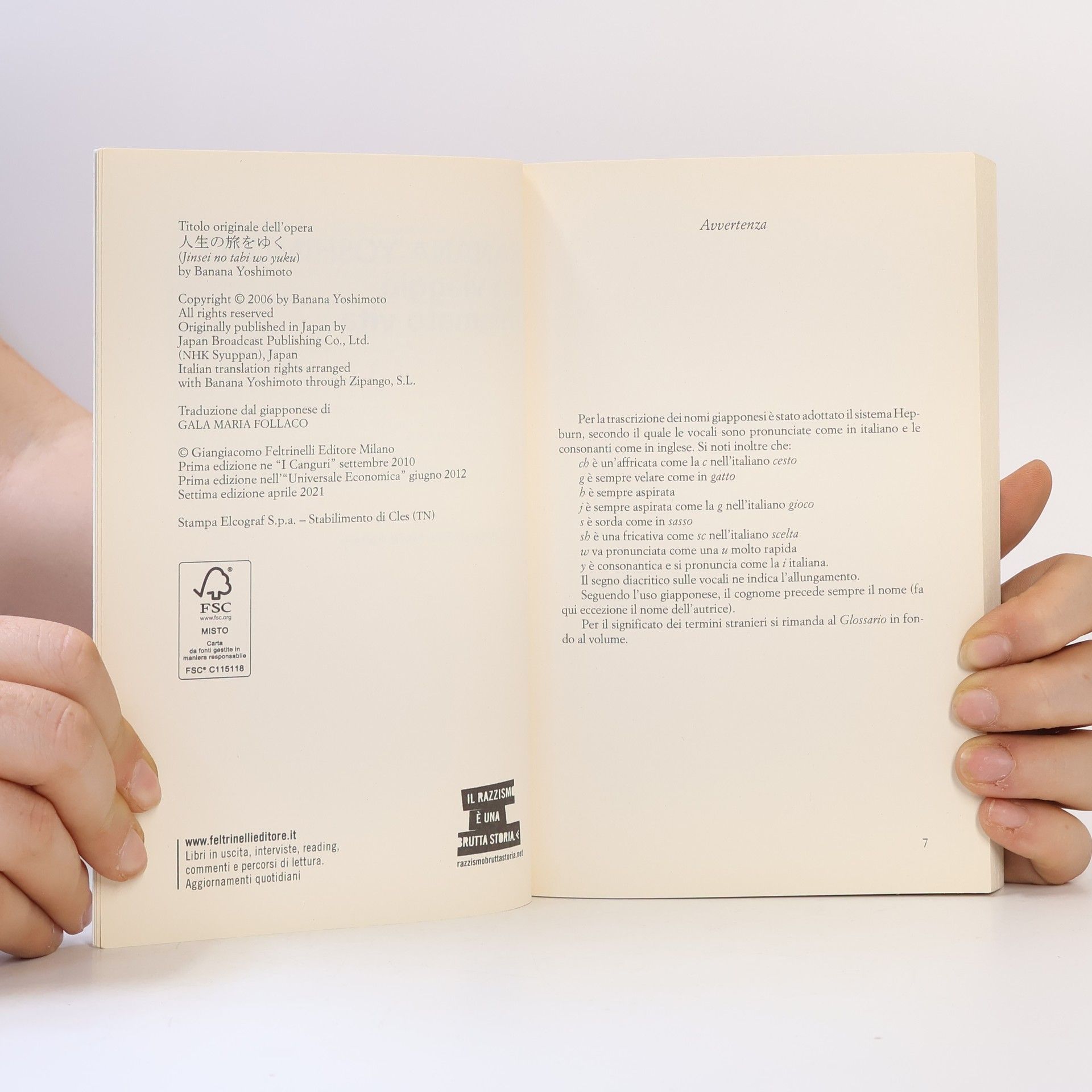 Banana Yoshimoto Un viaggio chiamato vita