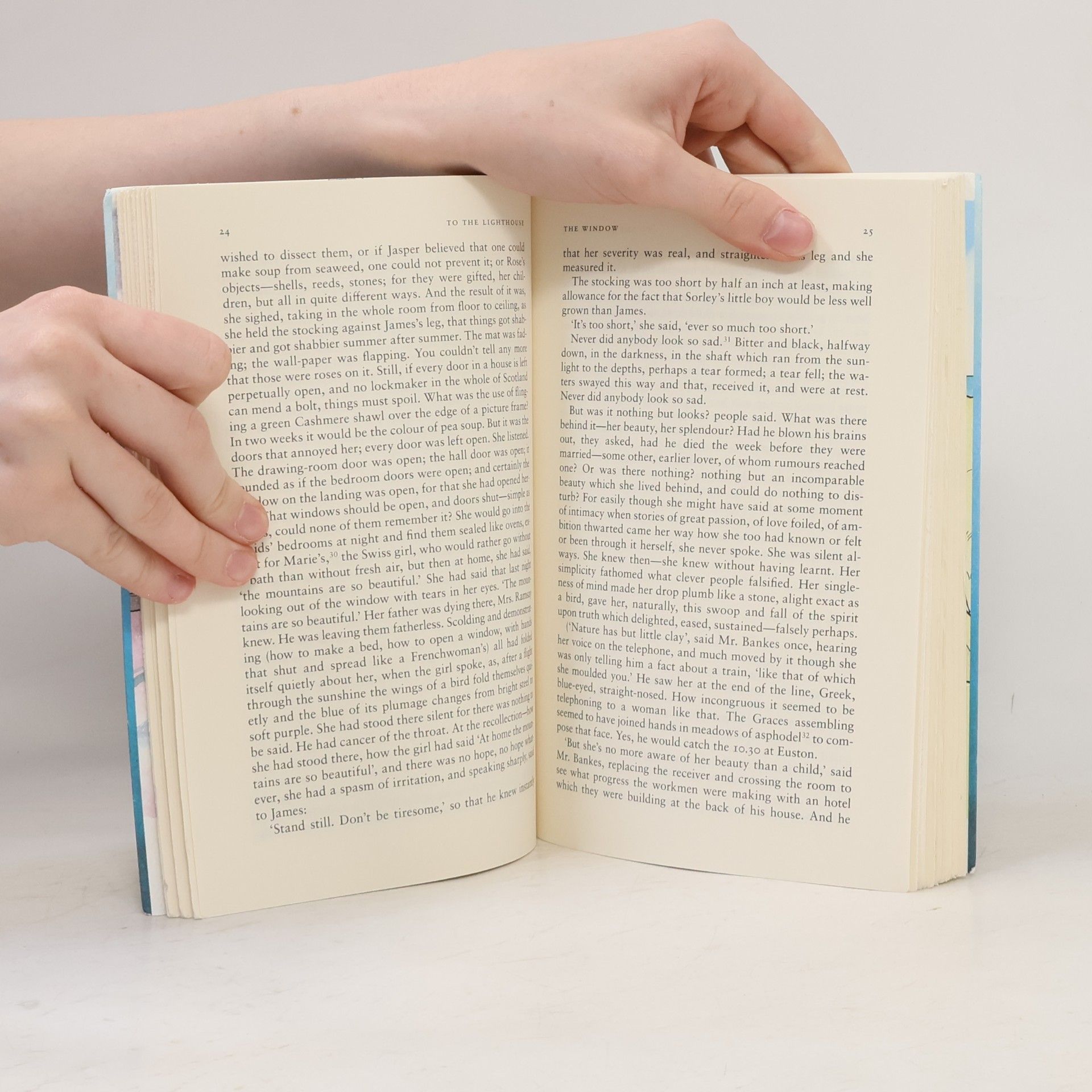 Stella McNichol To the Lighthouse: (Penguin Classics Deluxe Edition)