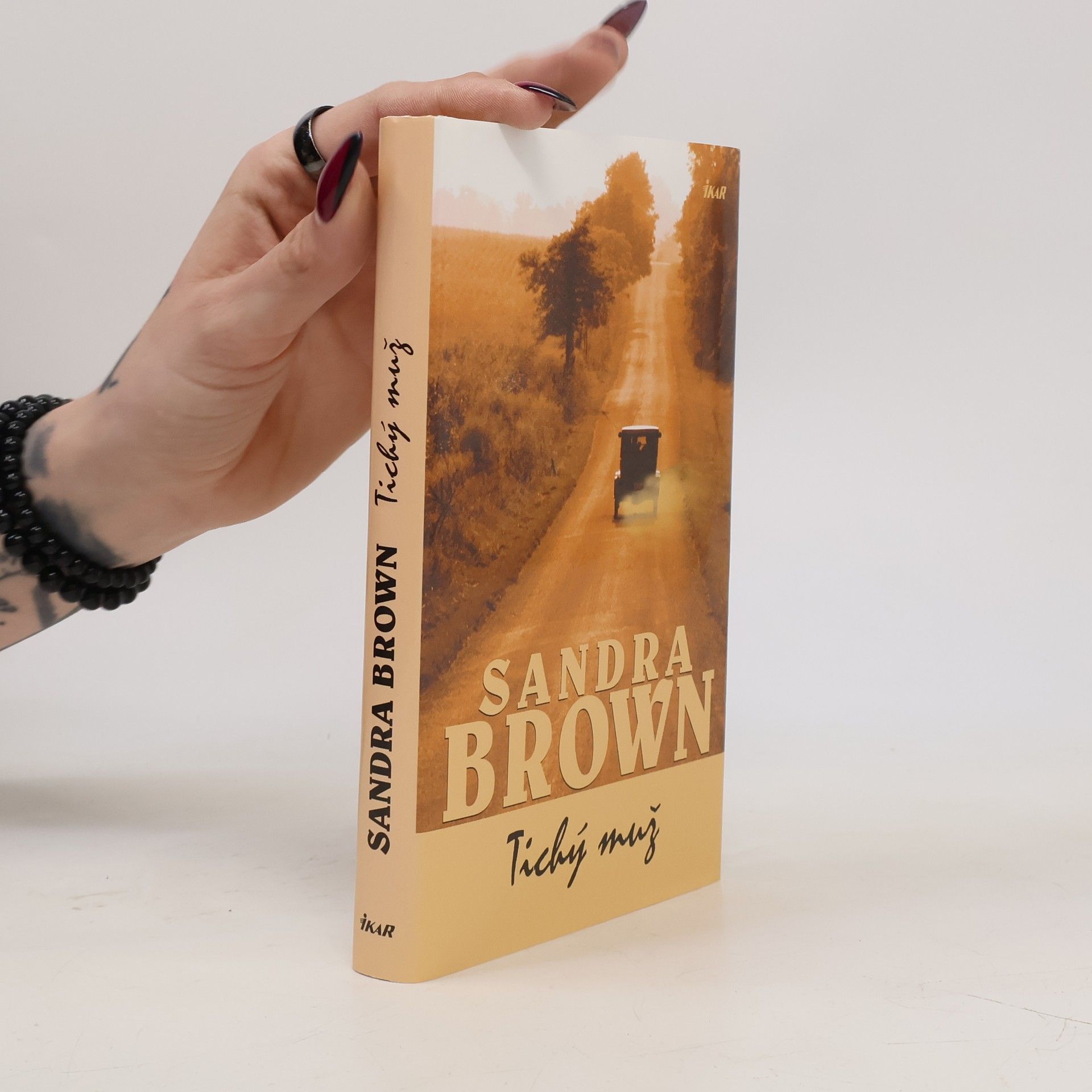 Sandra Brown Tichý muž