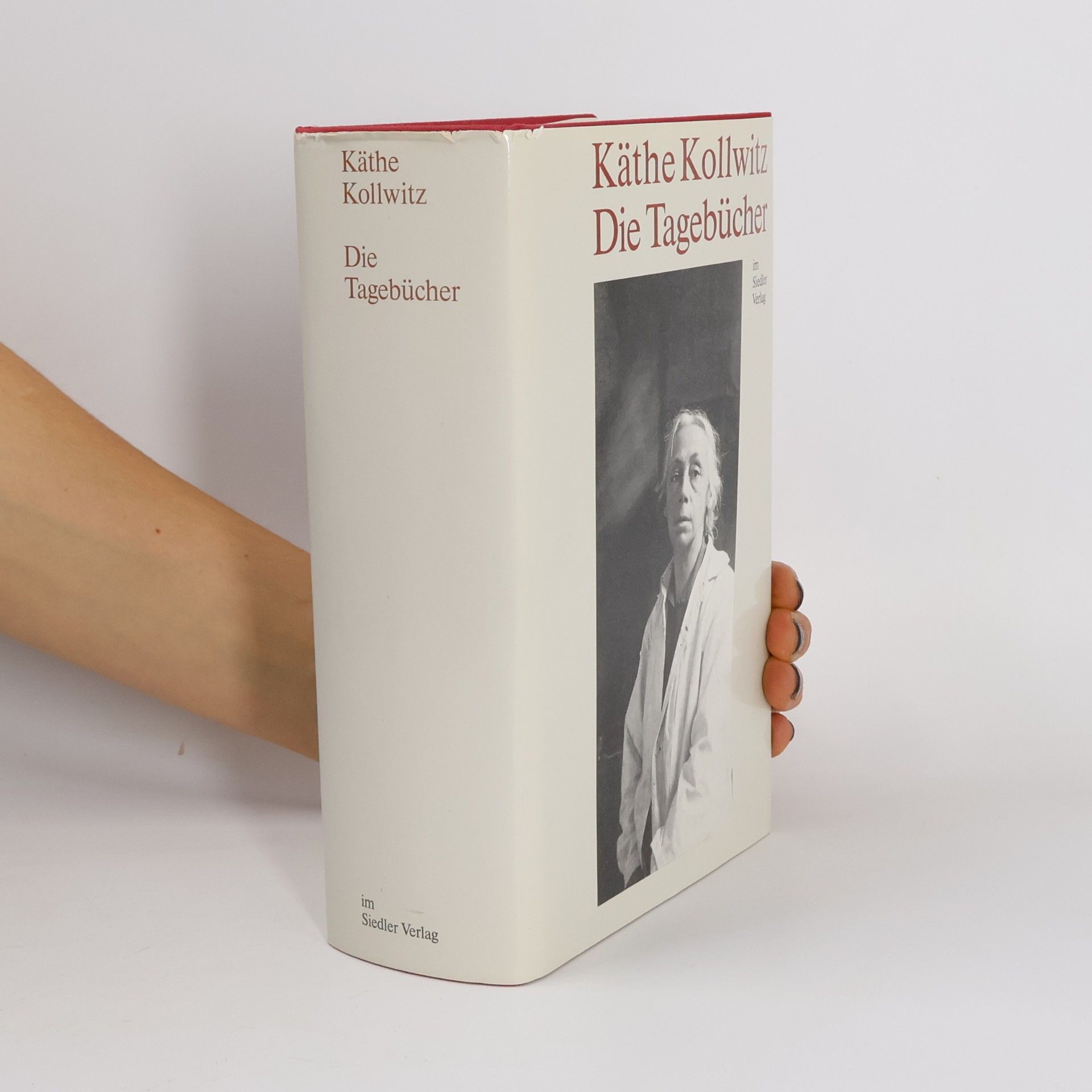 Käthe Kollwitz Die Tagebücher