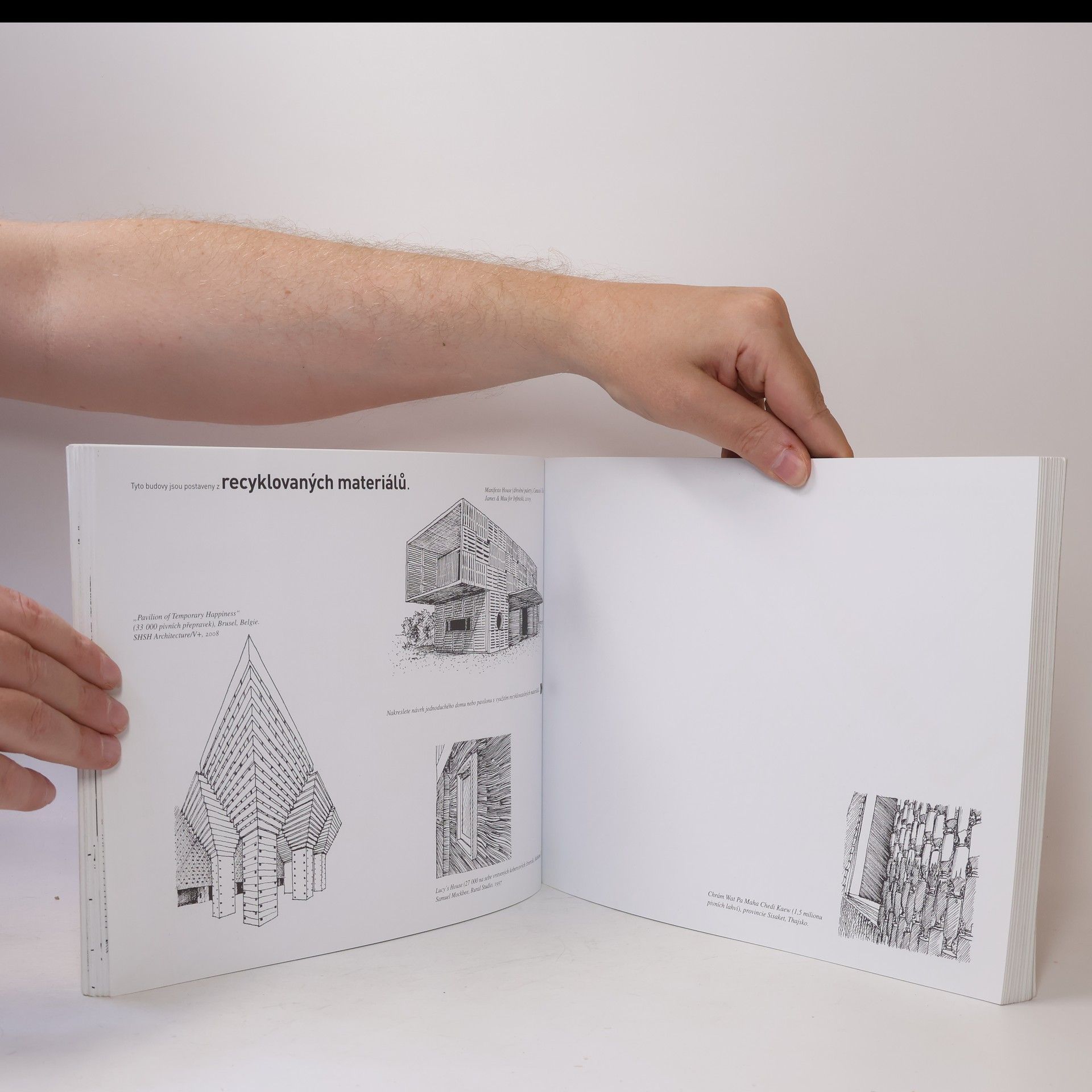 Stephen Bowkett Kresli jako architekt. Kniha aktivit pro milovníky architektury