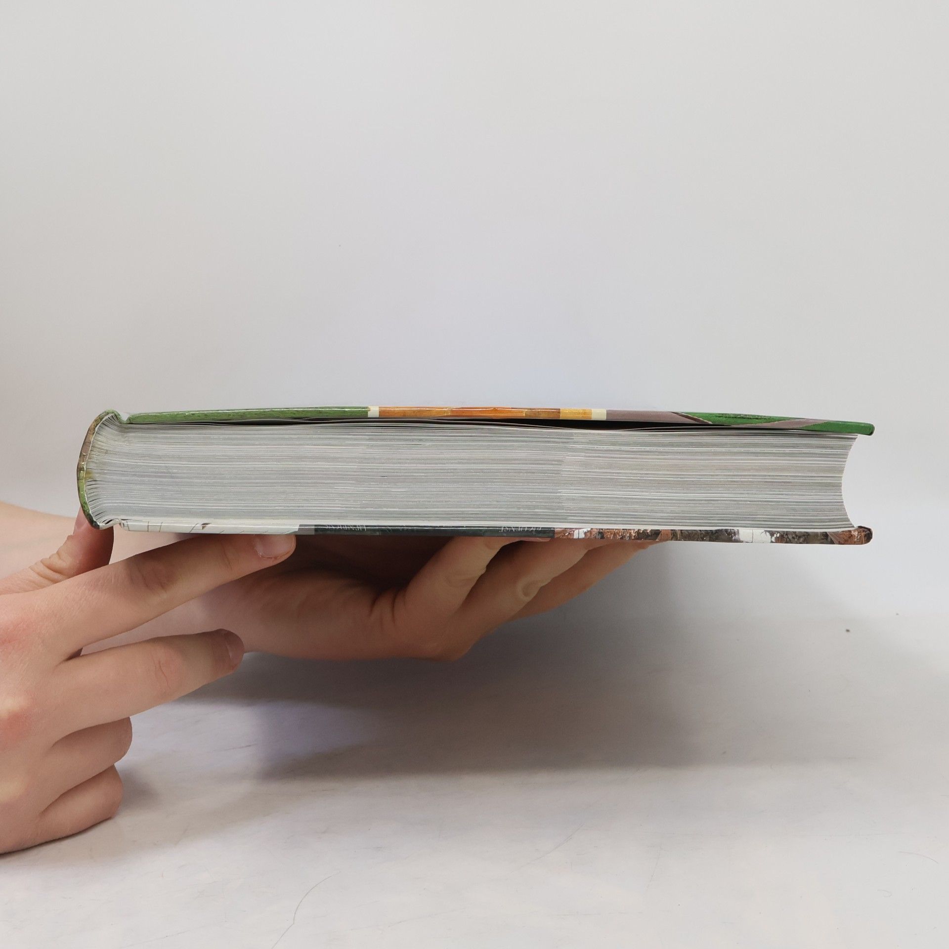 Autorenkollektiv 1000 kostelů a klášterů