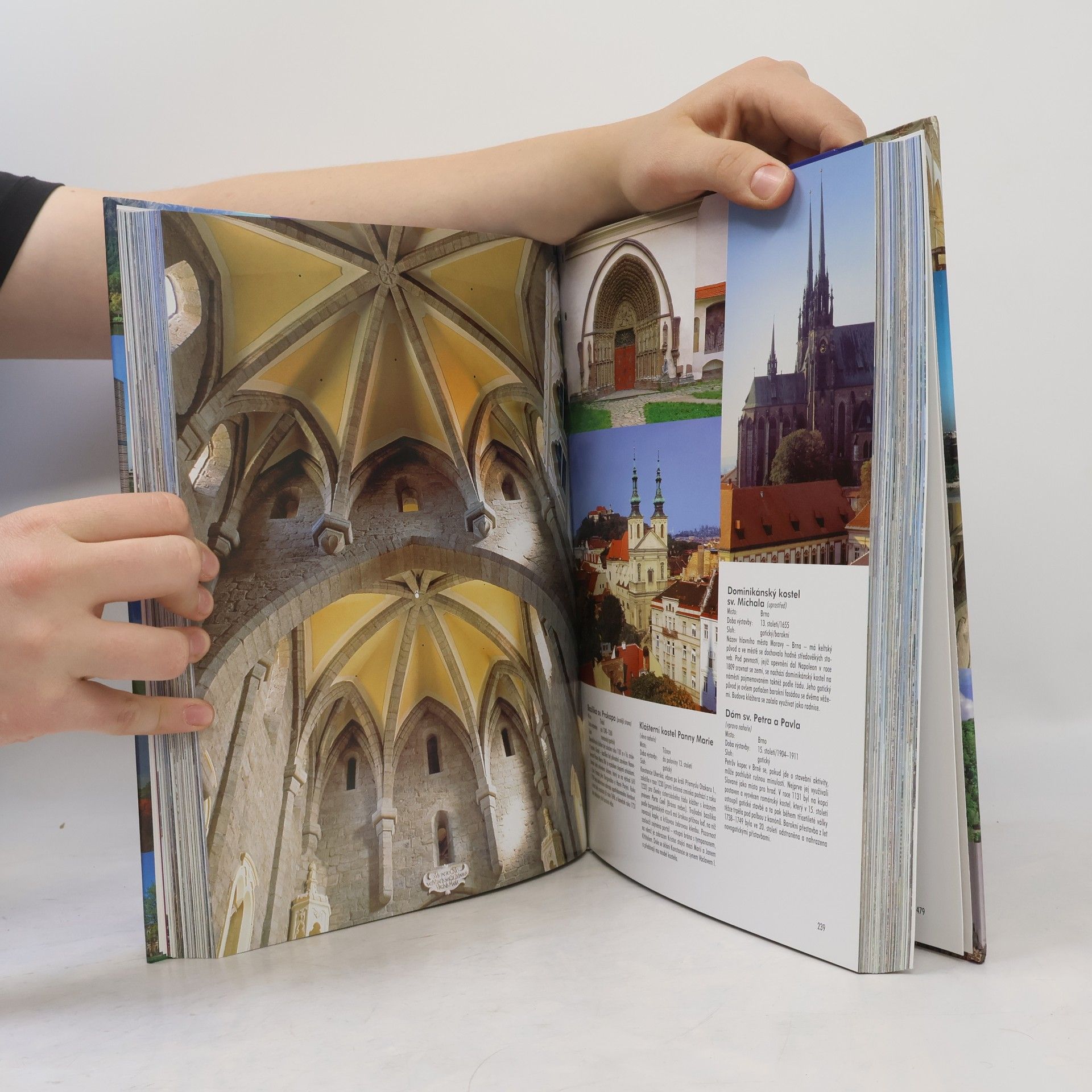Autorenkollektiv 1000 kostelů a klášterů