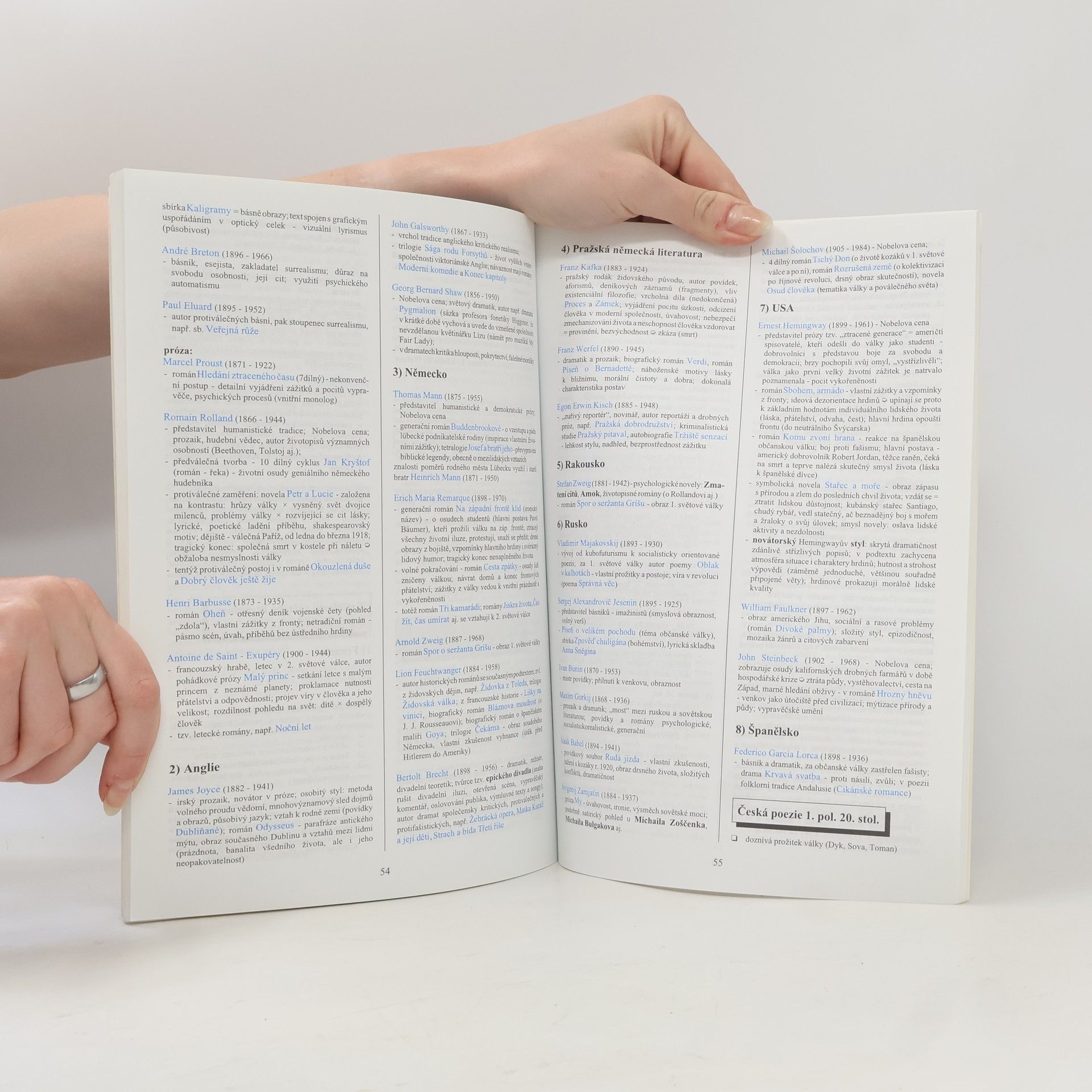 Marie Sochrová Literatura v kostce: Pro střední školy