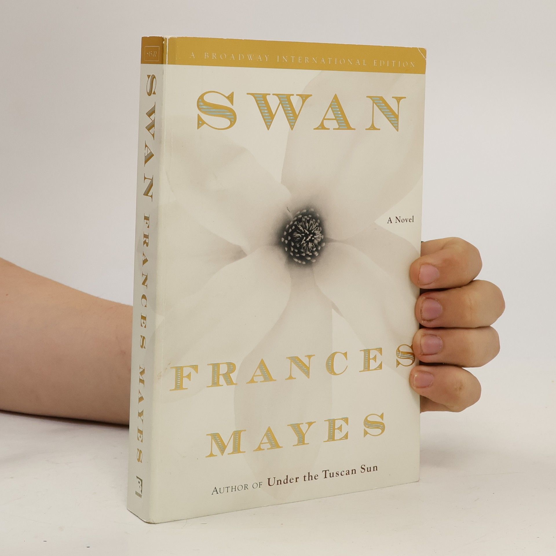 Frances Mayes Swan