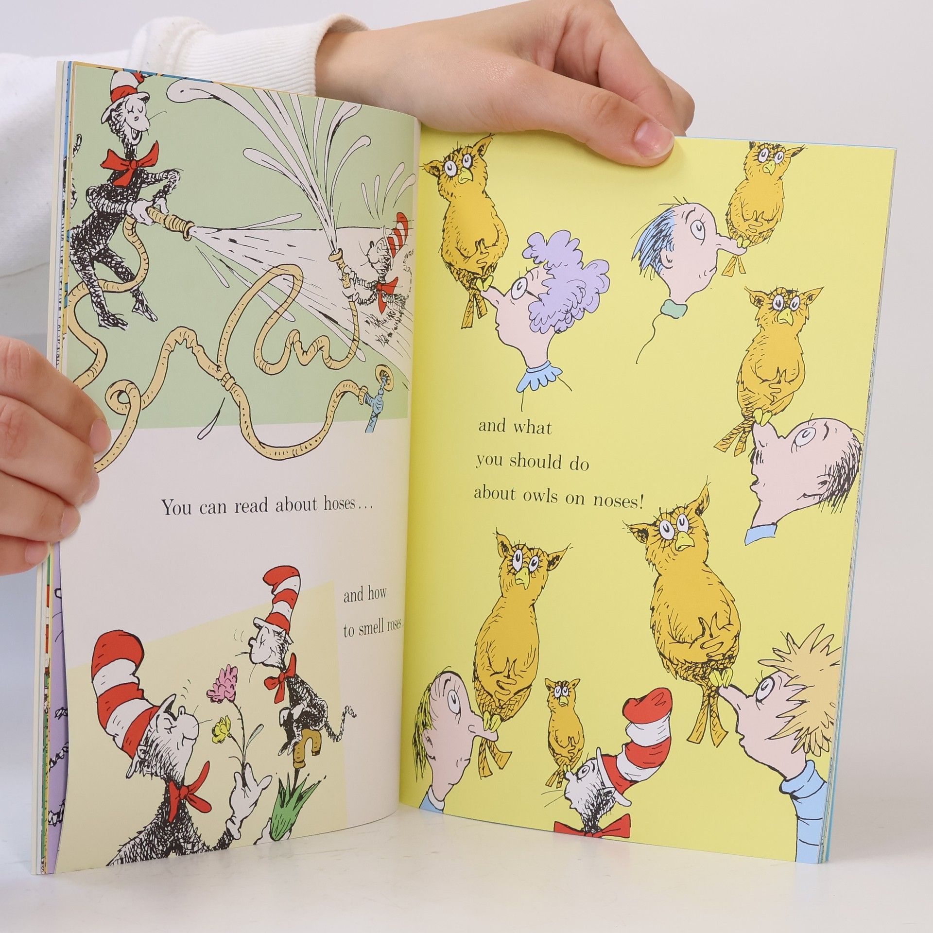 Dr. Seuss I Can Read with my Eyes Shut