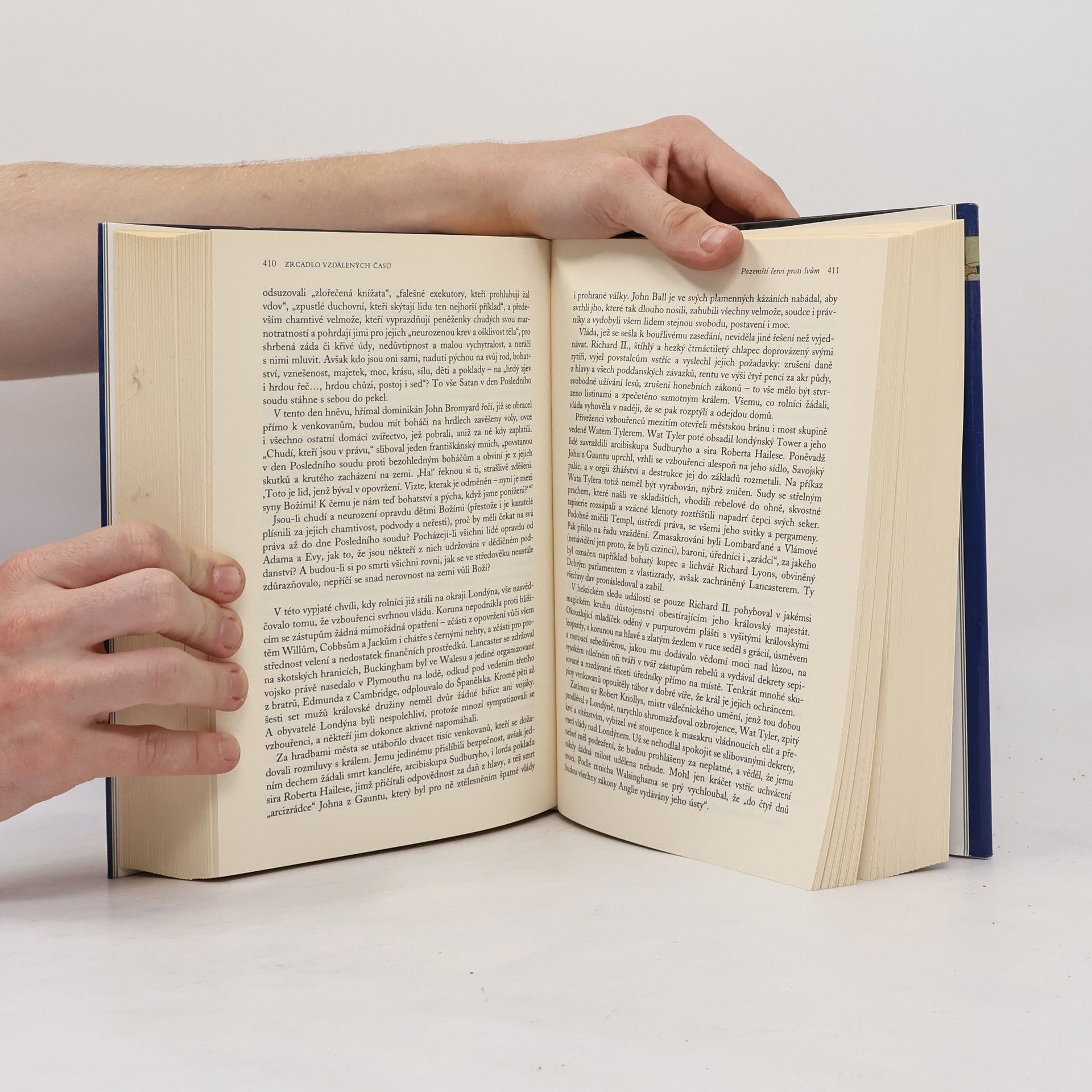 Barbara Wertheim Tuchman Zrcadlo vzdálených časů. 14. století - století pohrom