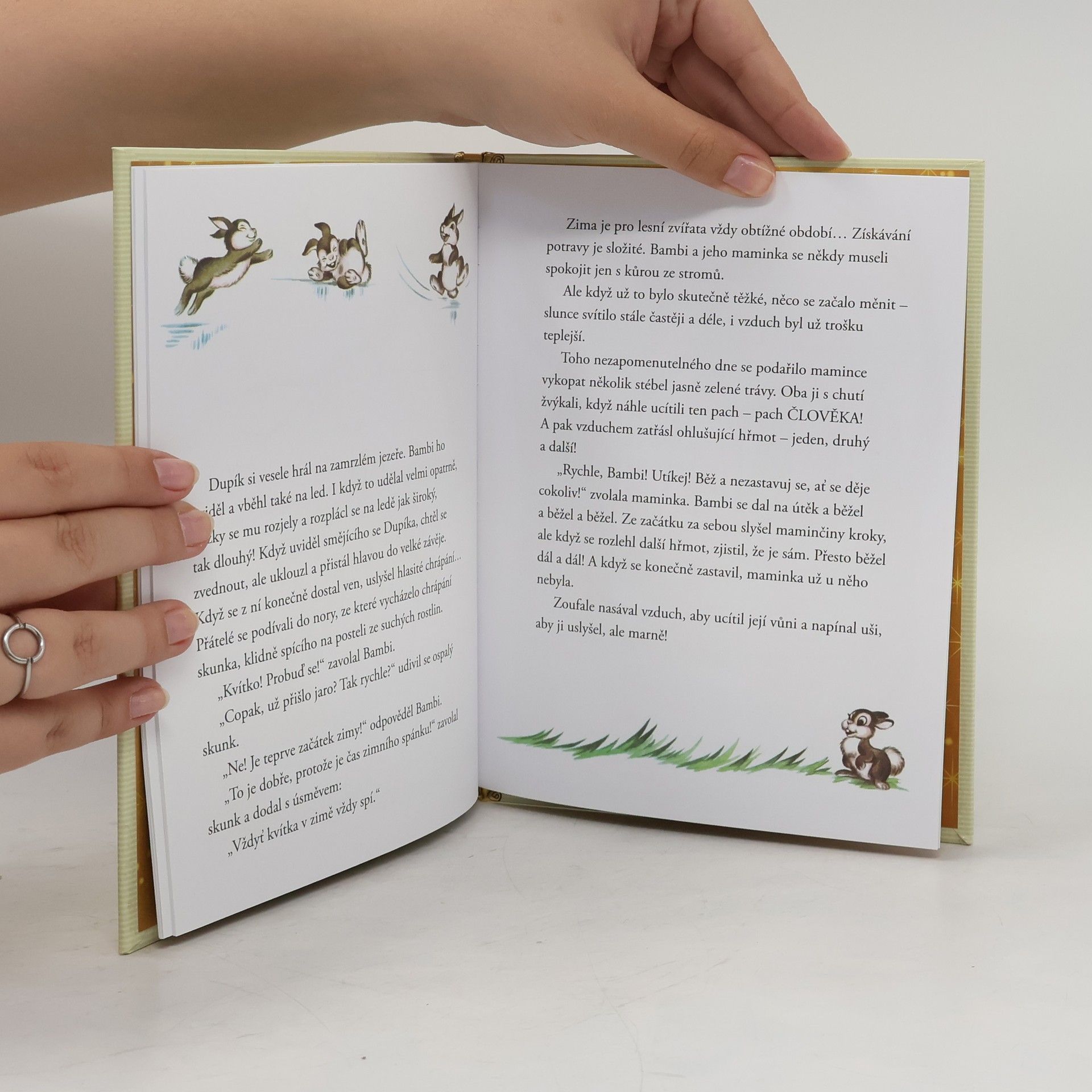 Autorenkollektiv Zlatá sbírka pohádek 4. Bambi