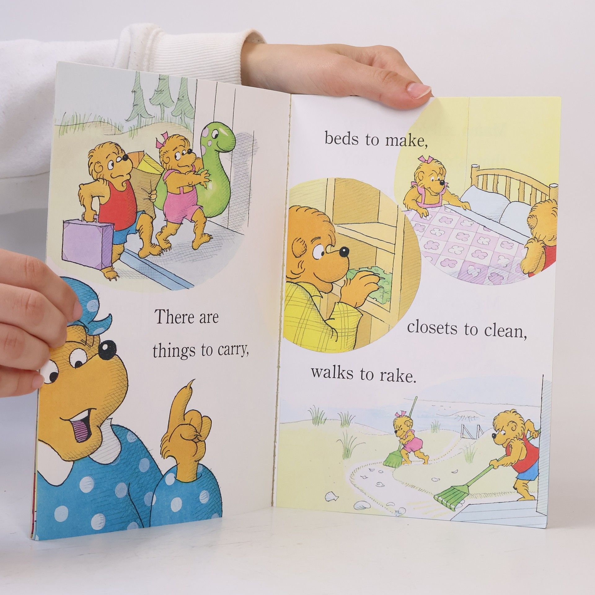 Jan Berenstain The Berenstain Bears by the Sea