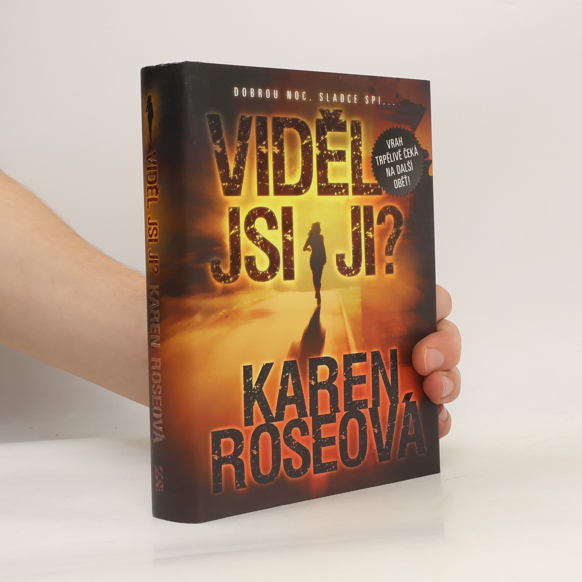 Karen Rose Viděl jsi ji?