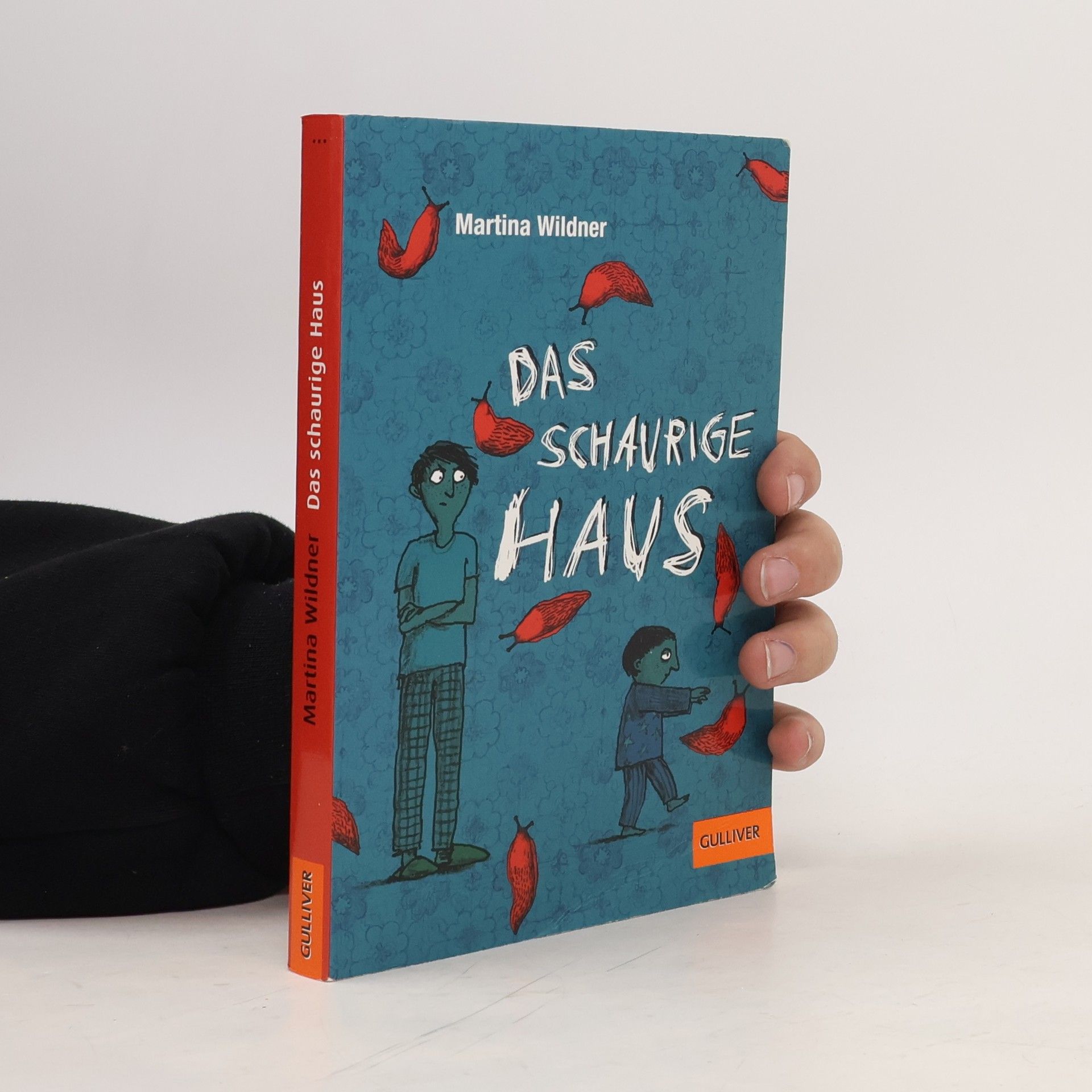 Martina Wildner Das schaurige Haus