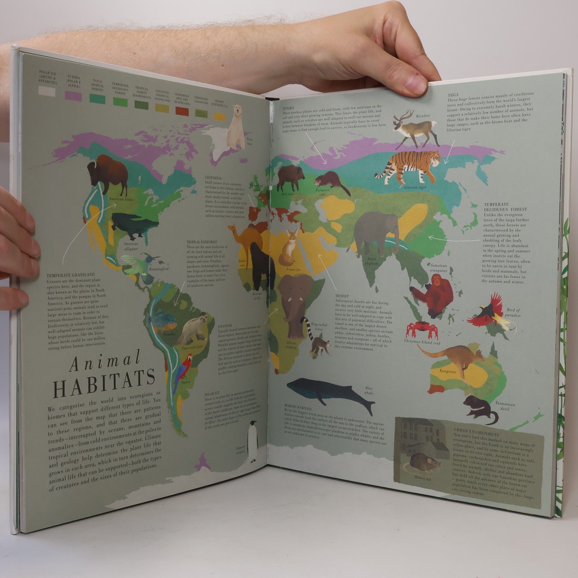 Jonathan Litton The Earth Book