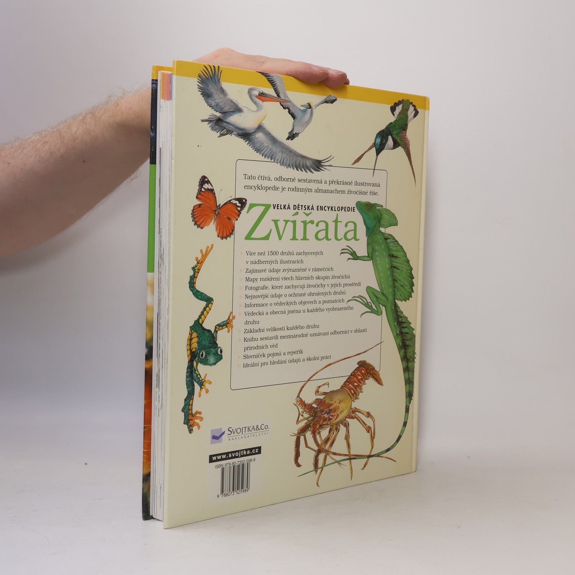 Karen McGhee Zvířata: Velká dětská encyklopedie