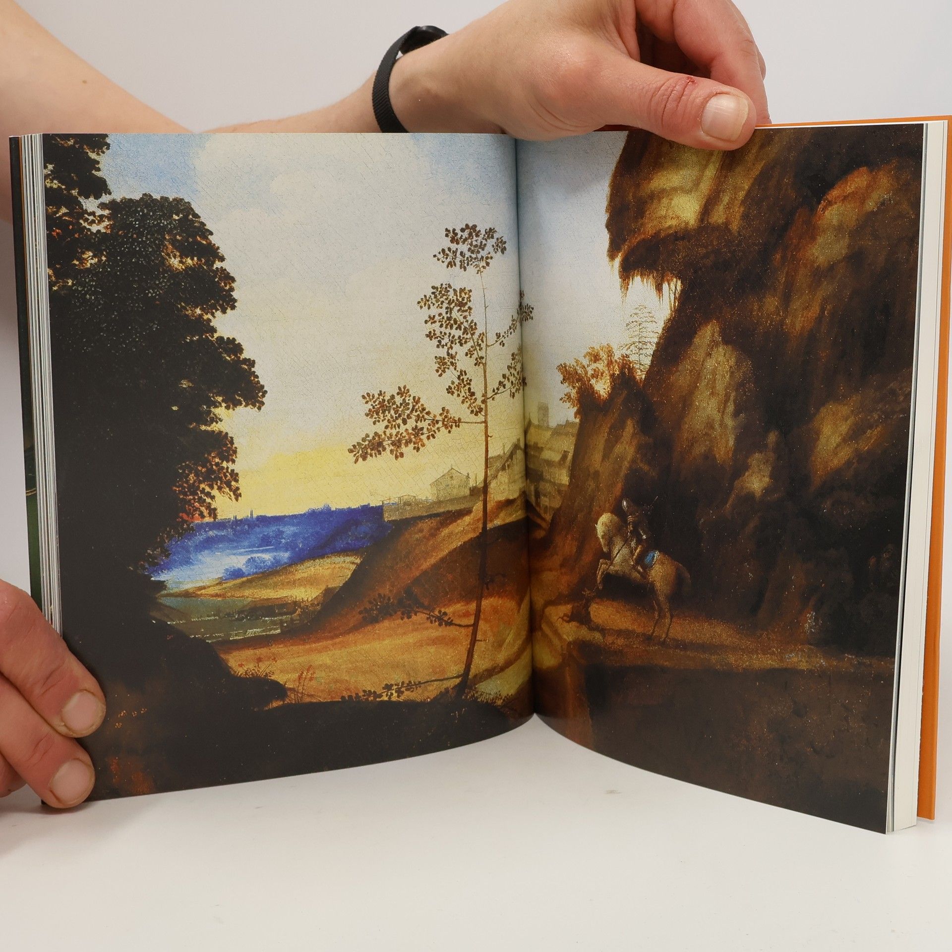 Kolektiv autorů Giorgione
