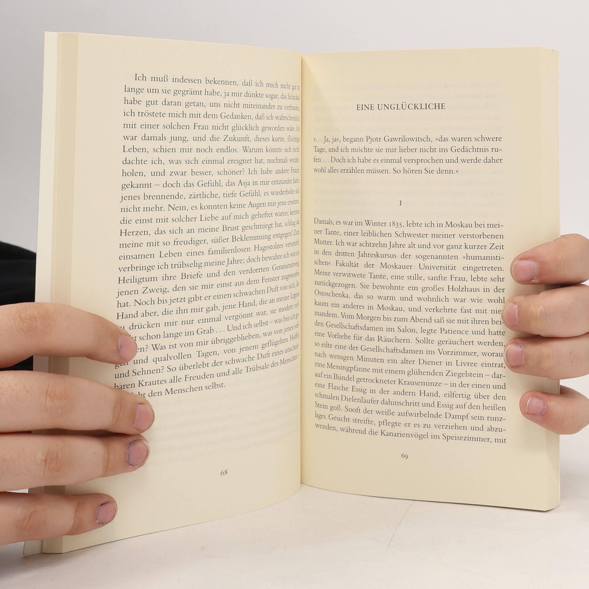 Ivan Turgenev Liebesgeschichten
