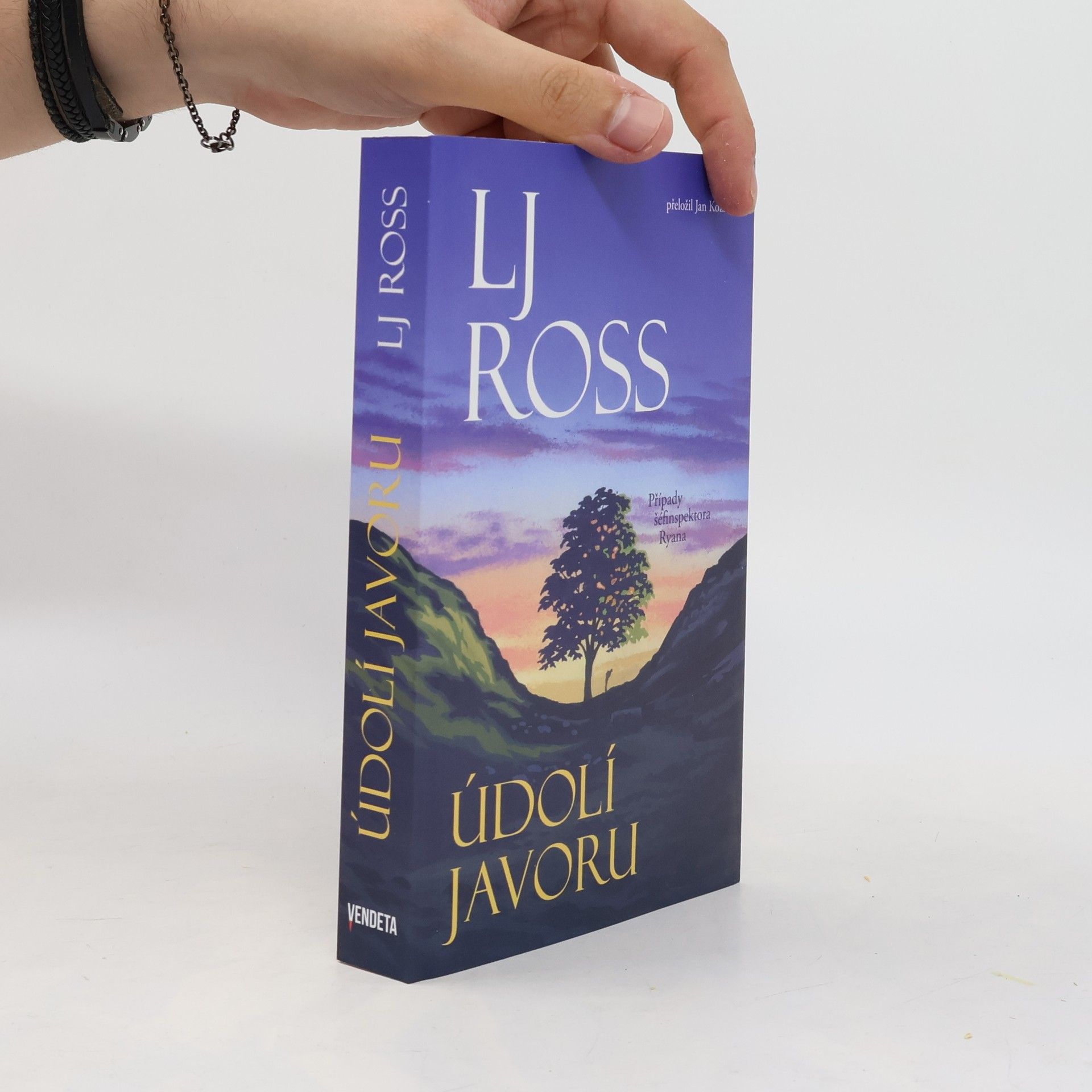 Louise Ross Údolí javoru