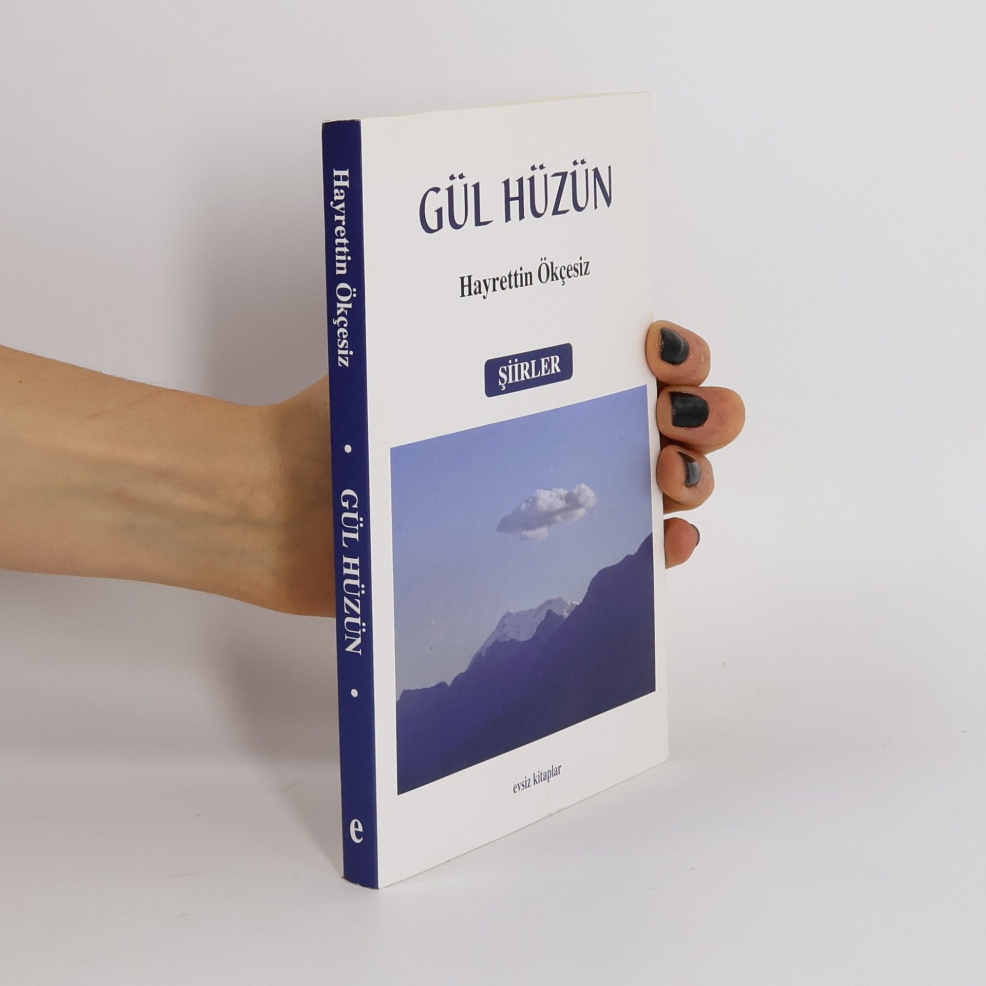Hayrettin Ökçesiz Gül Hüzün