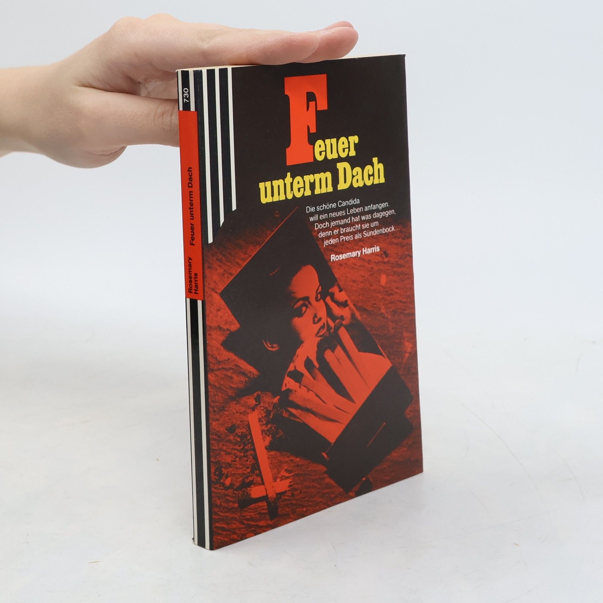 Feuer unterm Dach