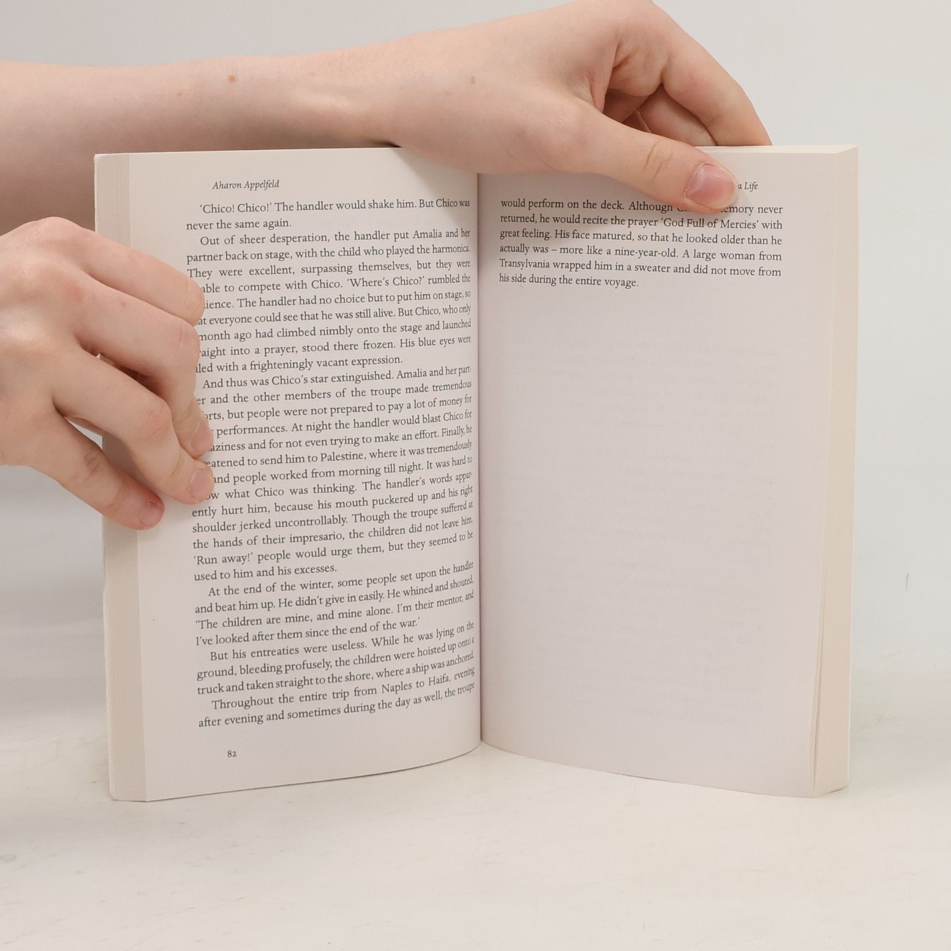 Aharon Appelfeld The Story of a Life