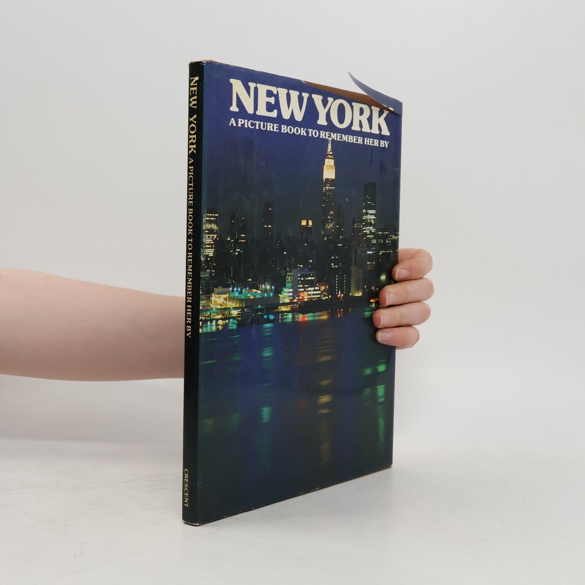 New York : A Picture Book to Remember Her by
