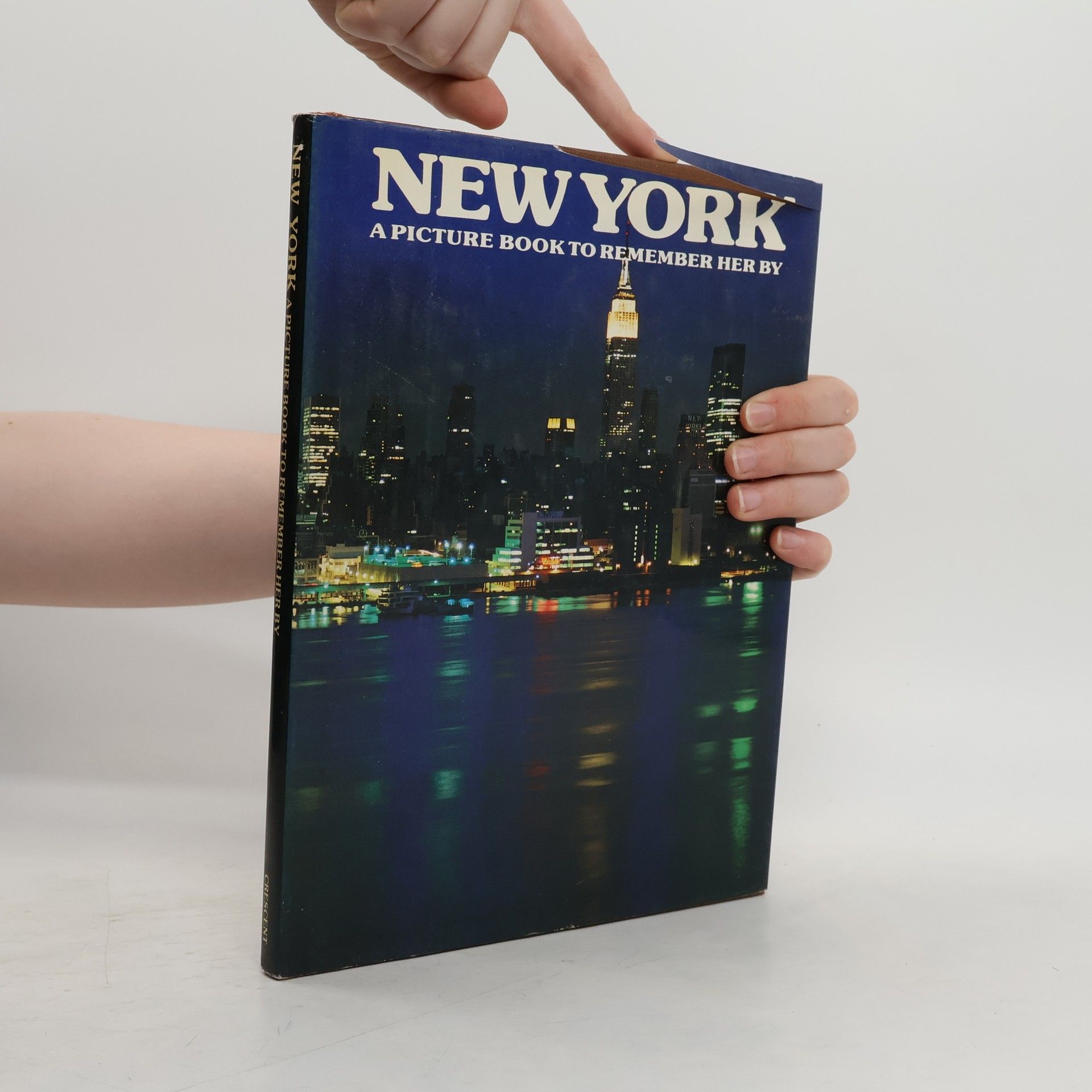 Collectif d'auteurs New York : A Picture Book to Remember Her by