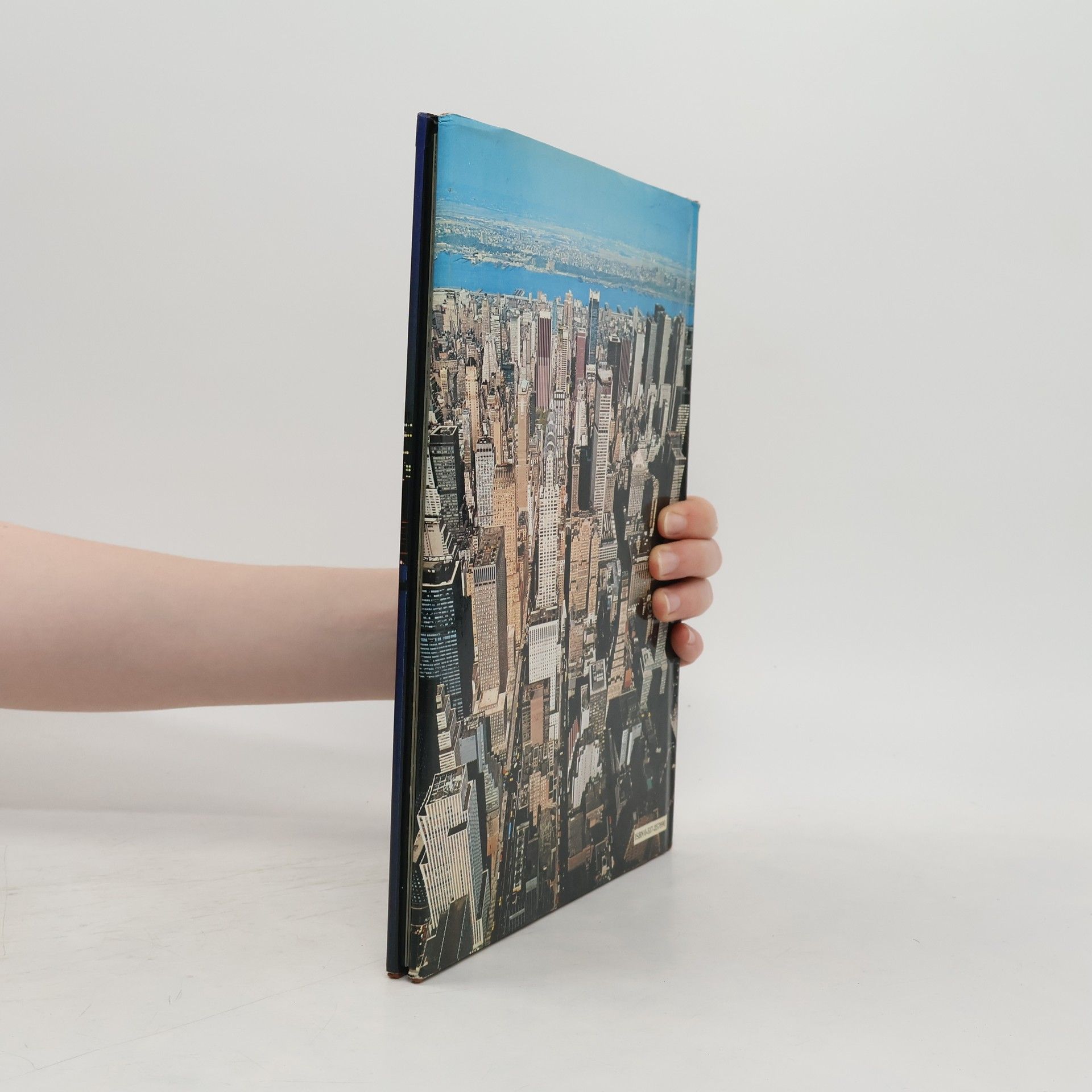 Collectif d'auteurs New York : A Picture Book to Remember Her by