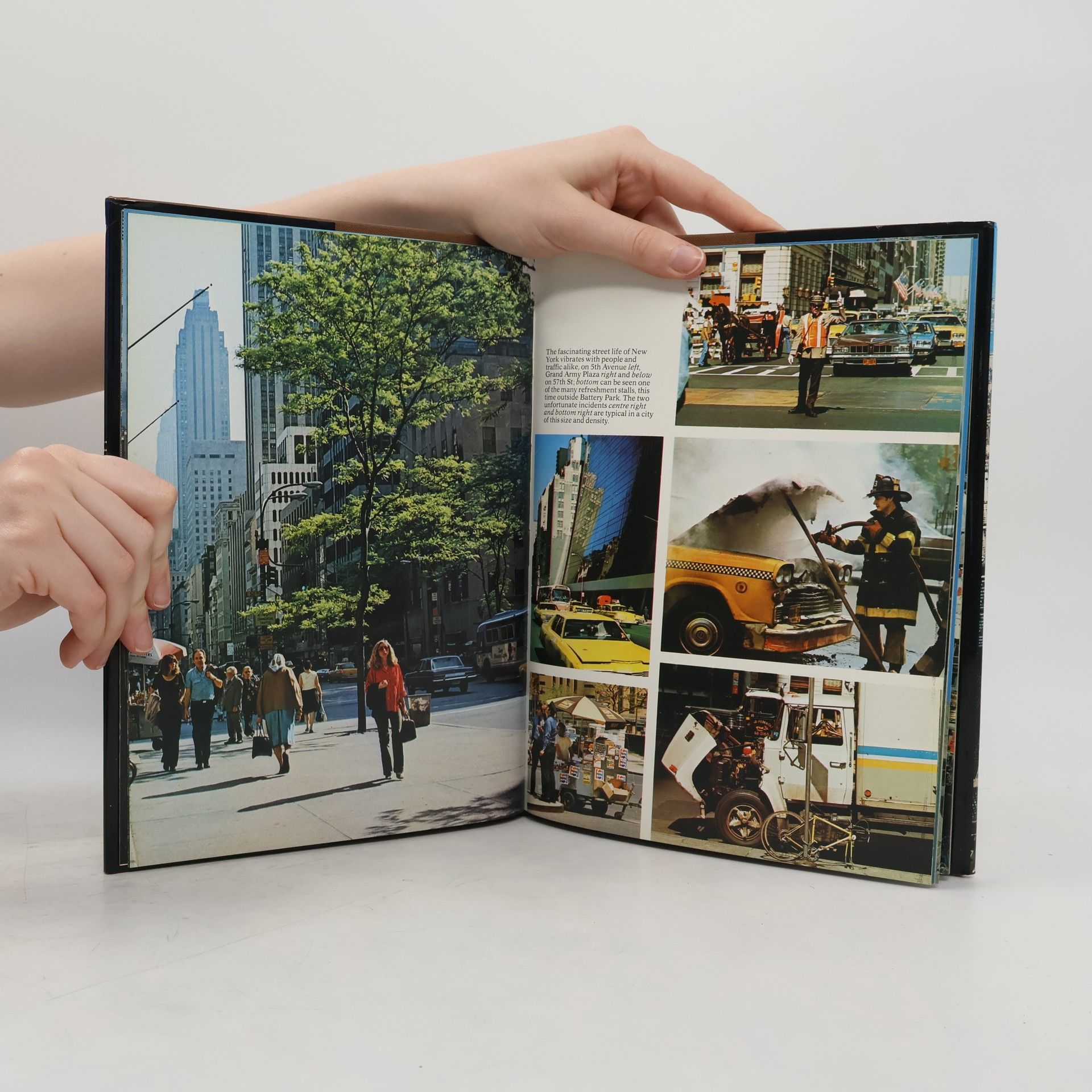 Collectif d'auteurs New York : A Picture Book to Remember Her by