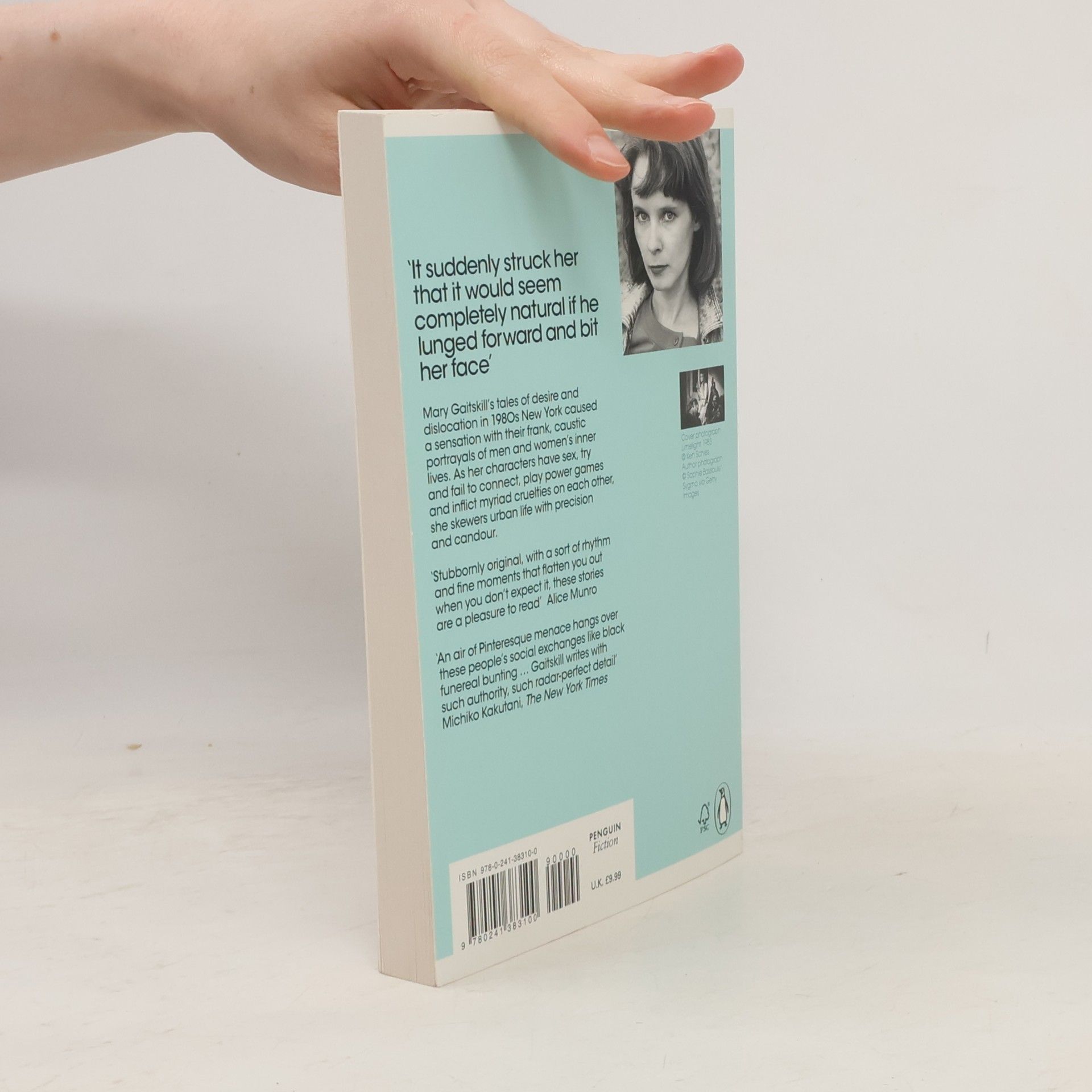 Mary Gaitskill Bad Behavior