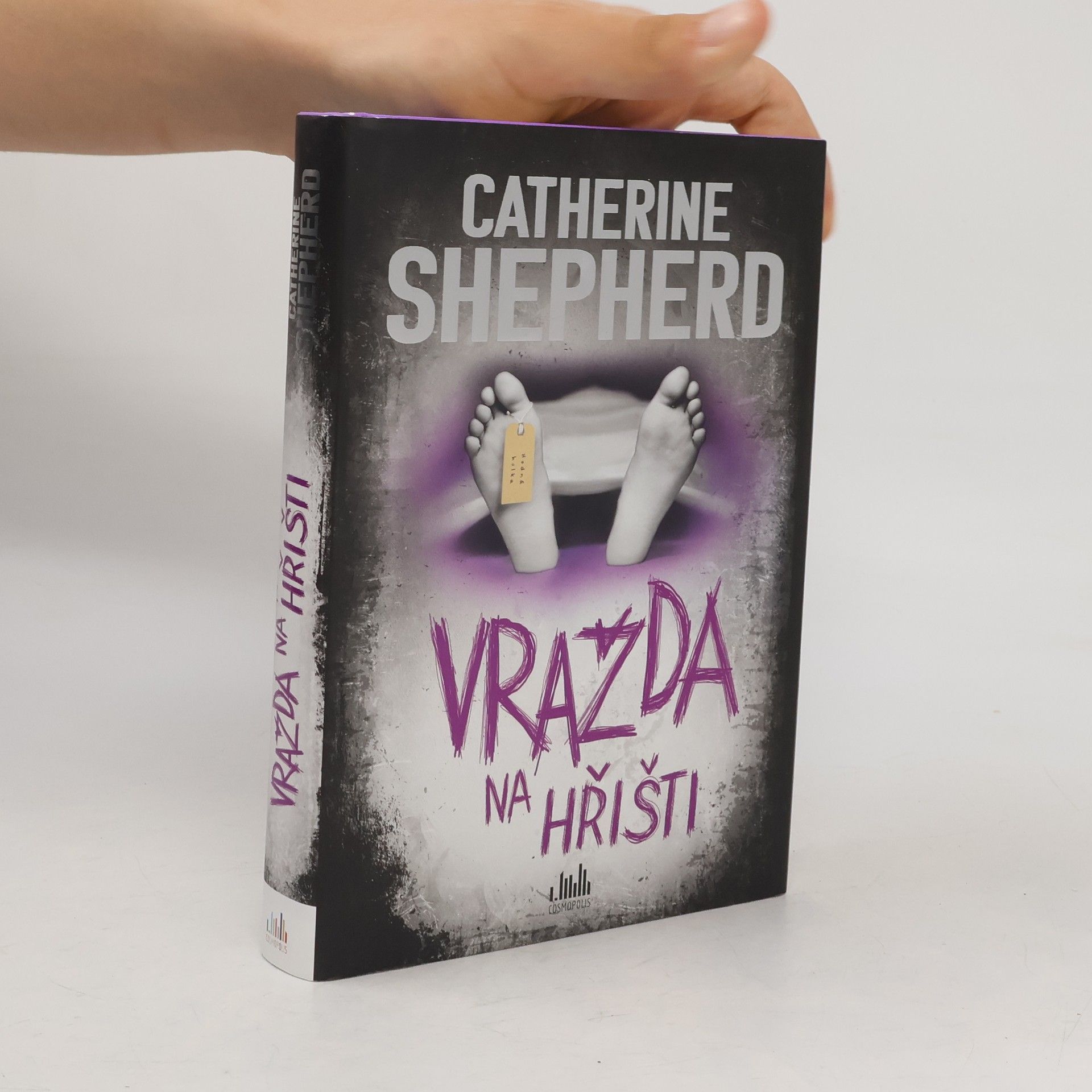 Catherine Shepherd Vražda na hřišti