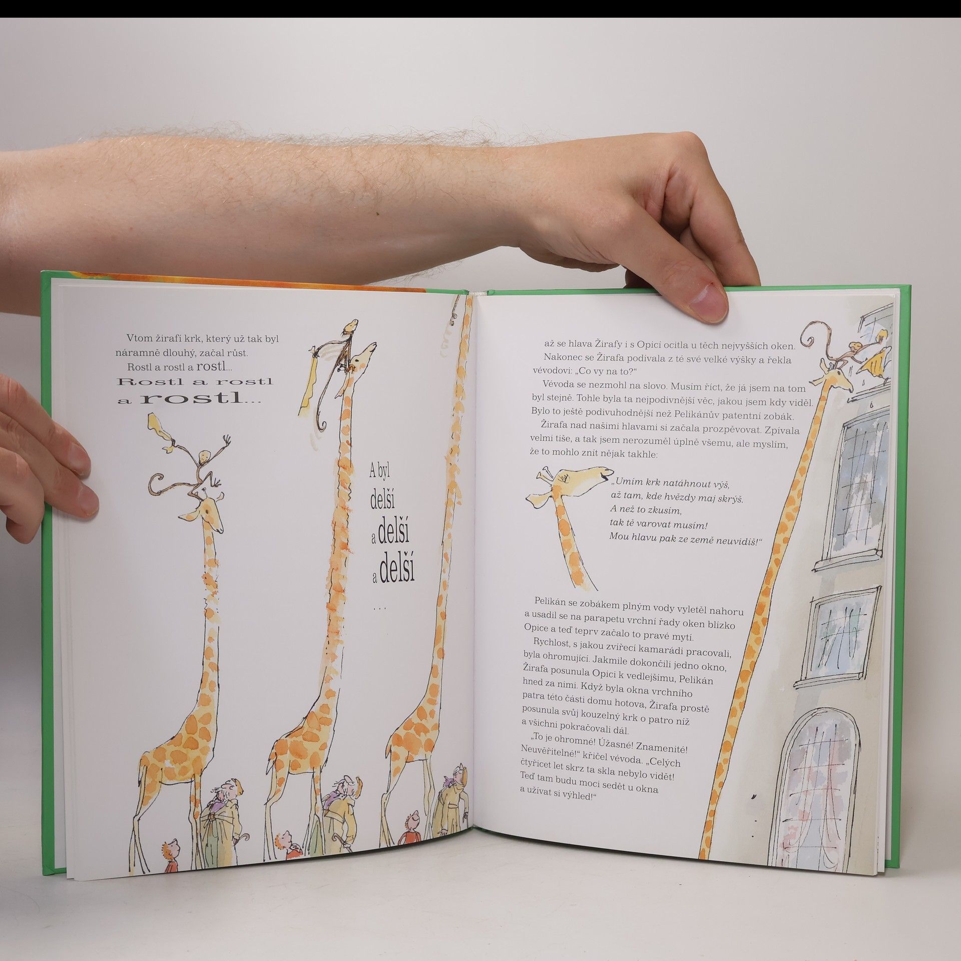 Roald Dahl Žirafa, pelikán a já