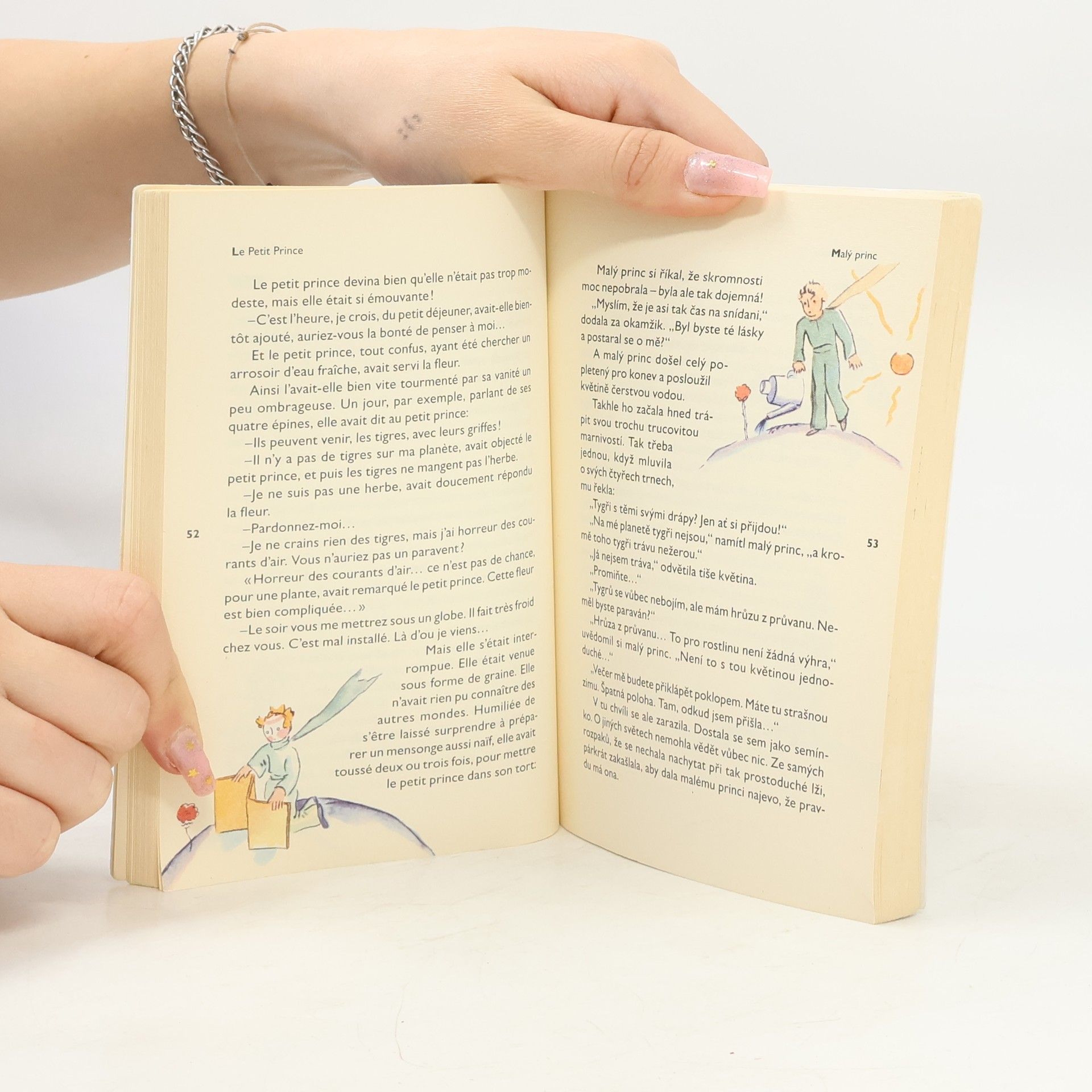 Antoine de Saint-Exupéry Le Petit Prince. Malý princ
